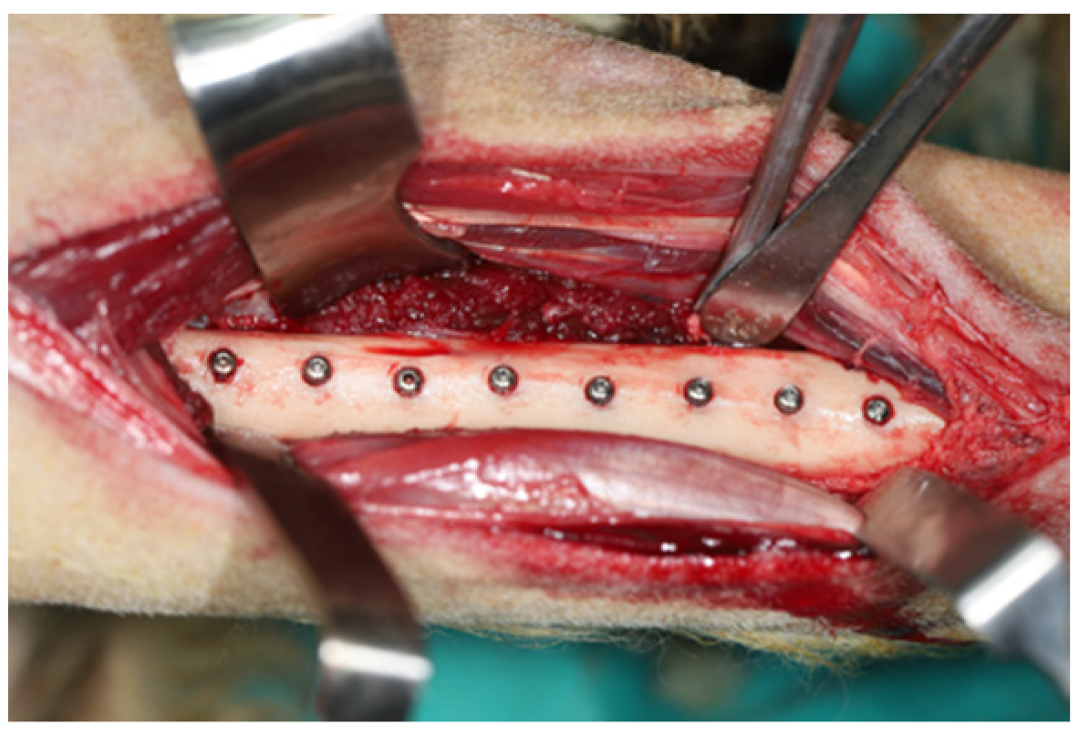 Bioengineering 09 00705 g002