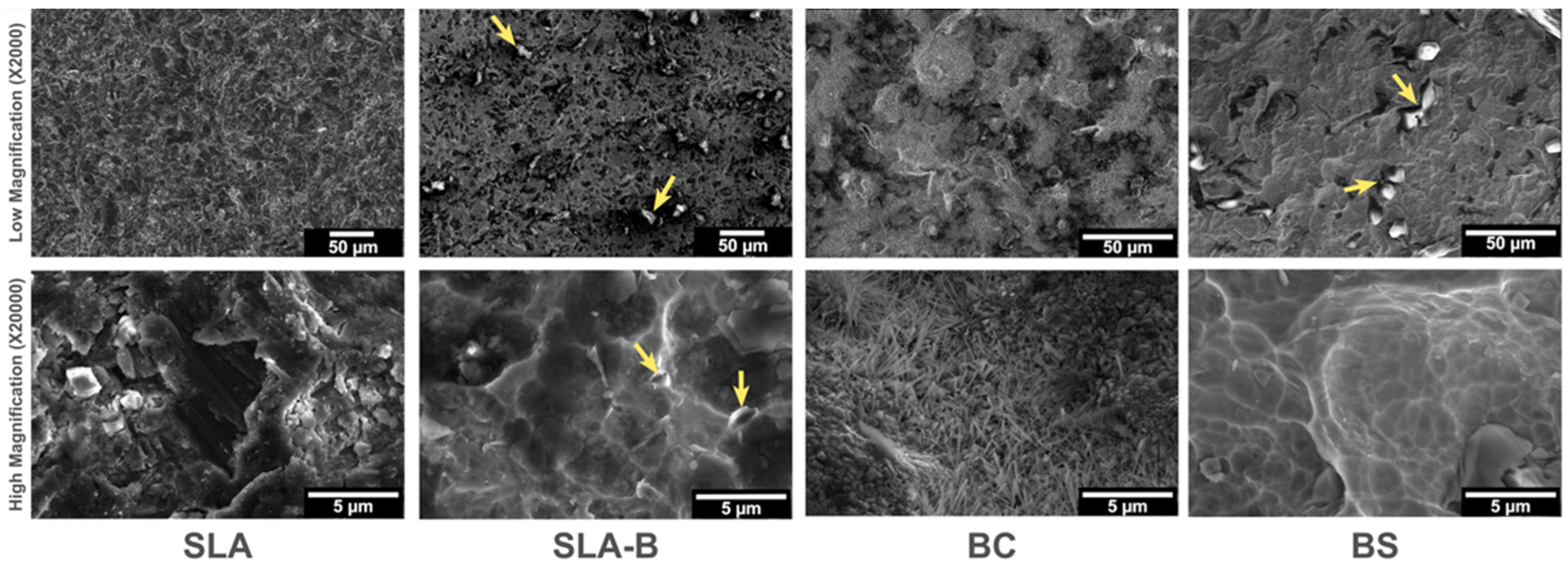 Bioengineering 09 00705 g003