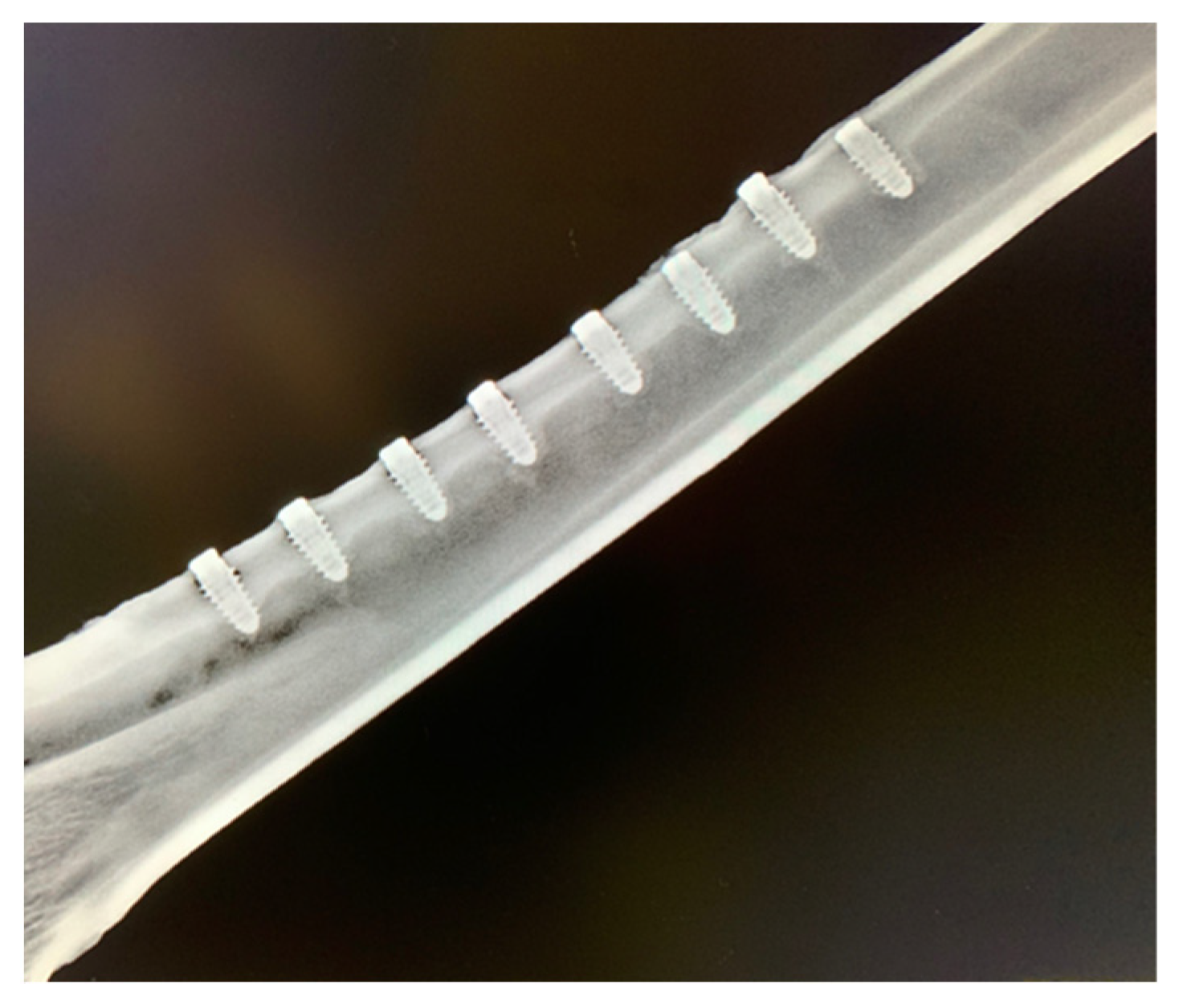 Bioengineering 09 00705 g009