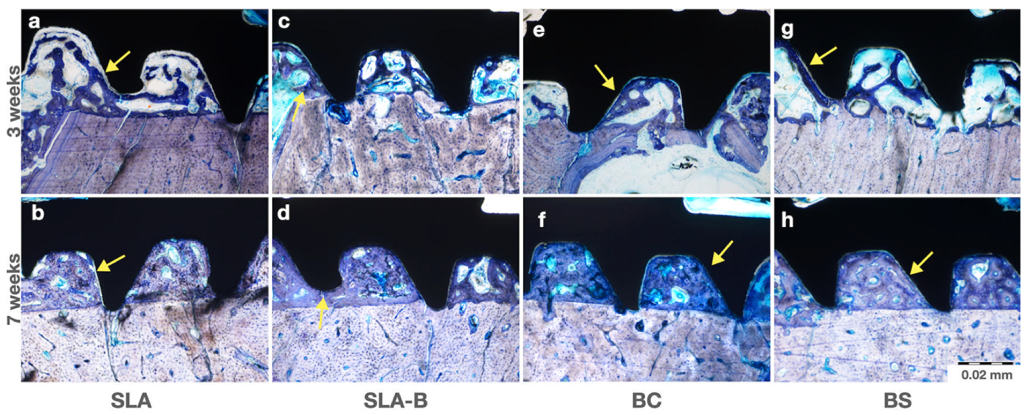 Bioengineering 09 00705 g011