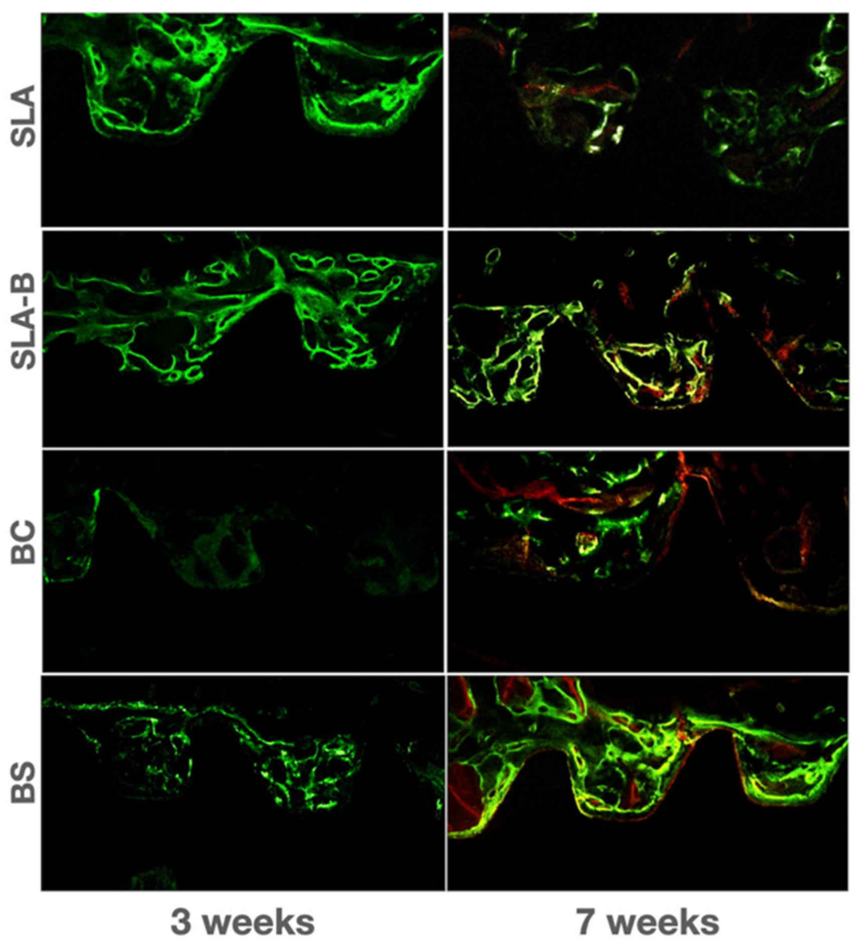 Bioengineering 09 00705 g012