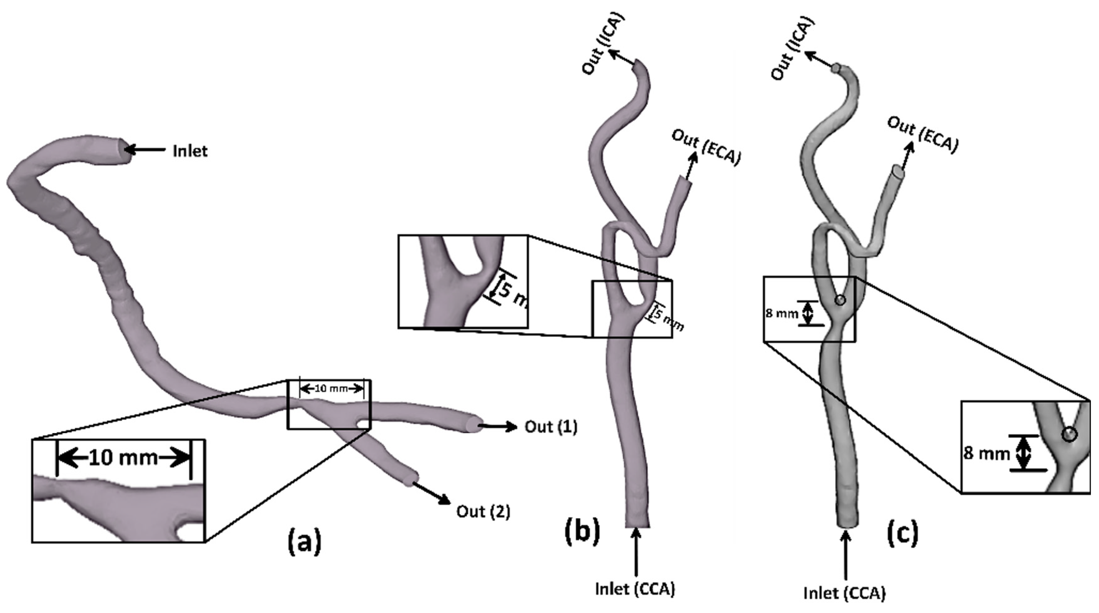 Bioengineering 09 00708 g001