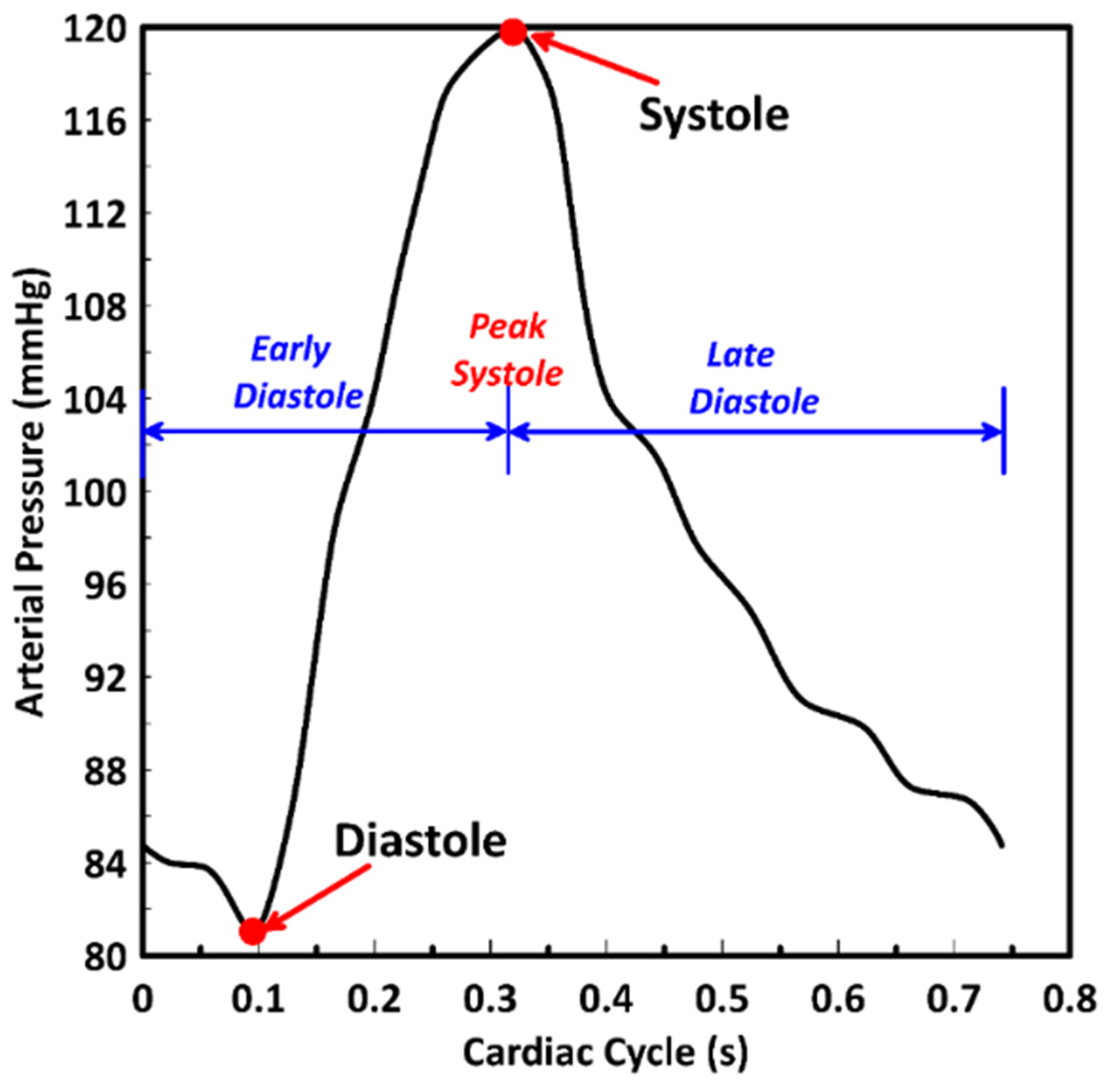 Bioengineering 09 00708 g002