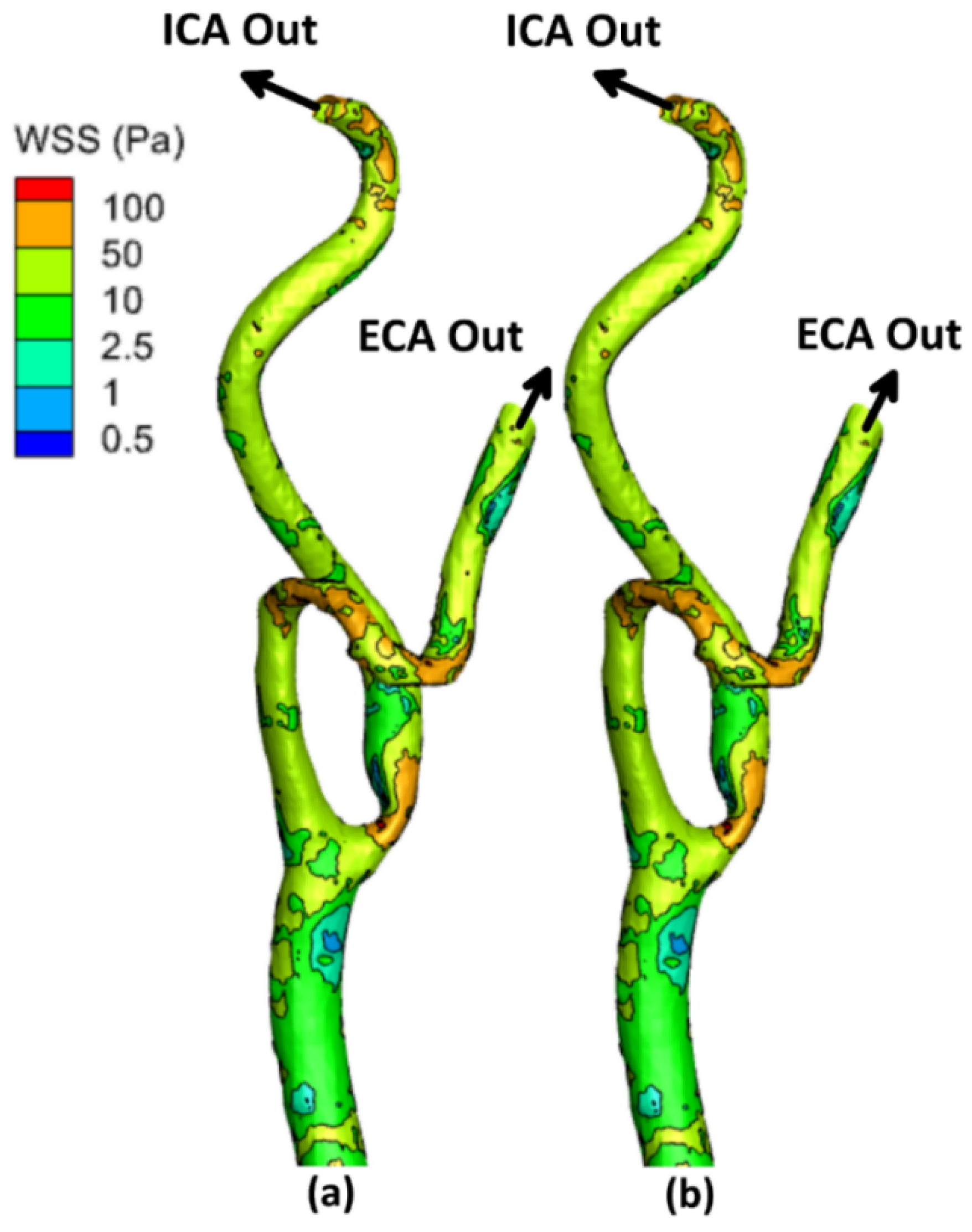Bioengineering 09 00708 g005