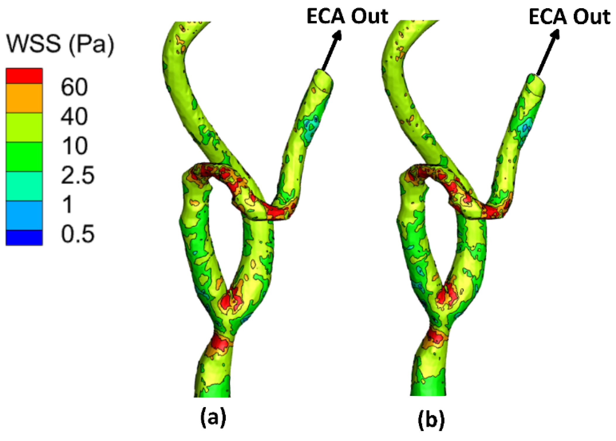 Bioengineering 09 00708 g006