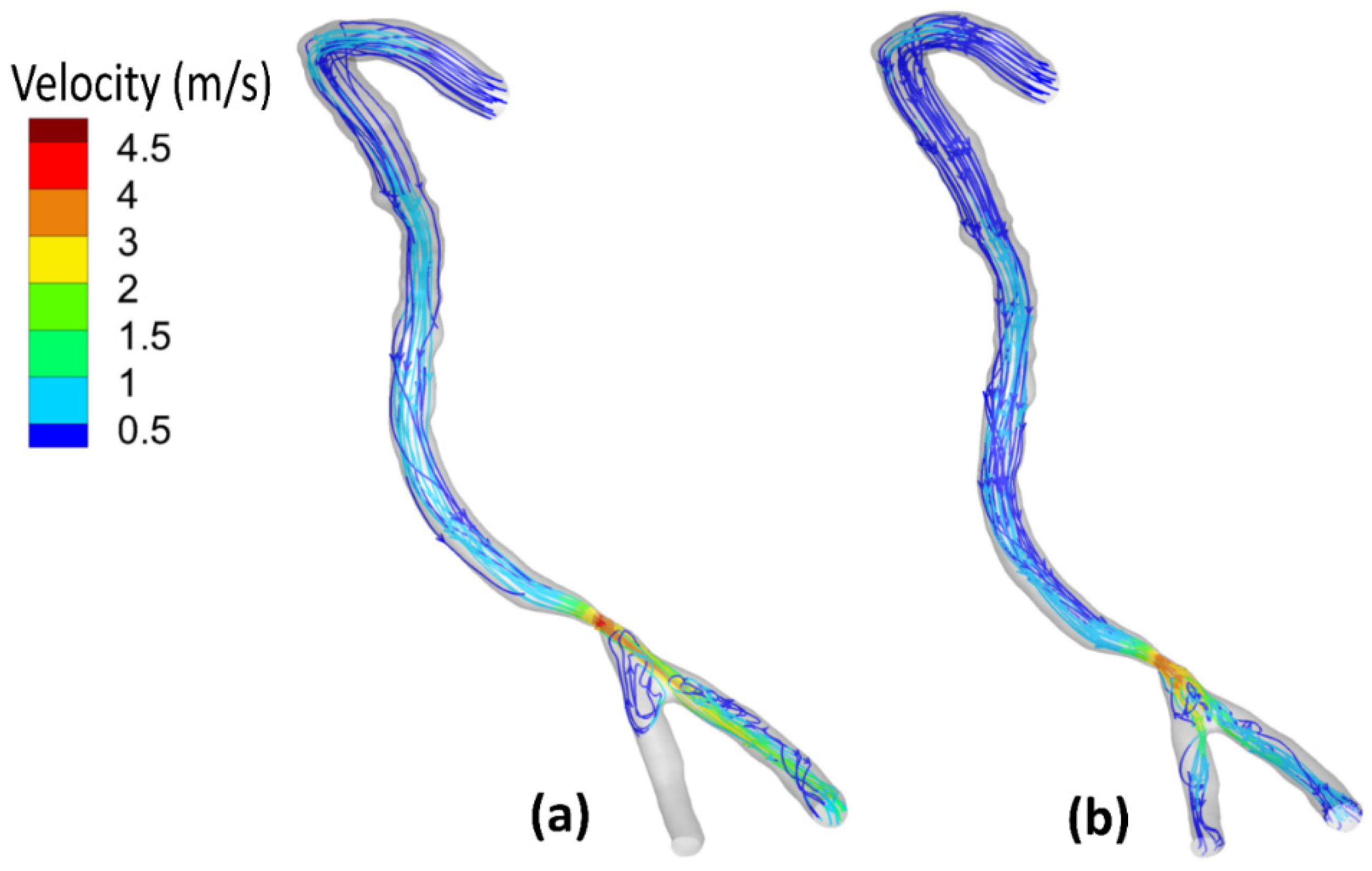 Bioengineering 09 00708 g007