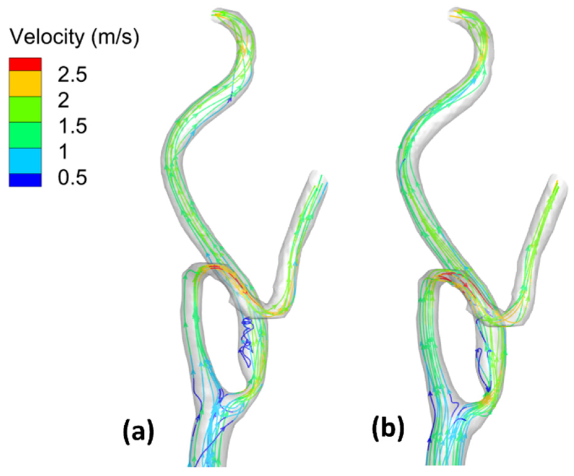 Bioengineering 09 00708 g008