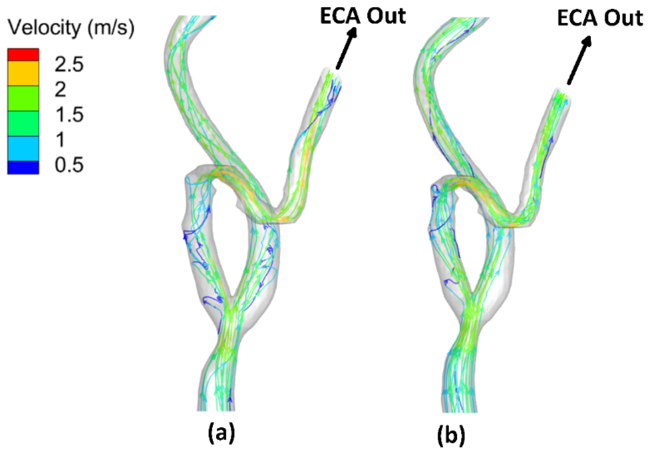Bioengineering 09 00708 g009