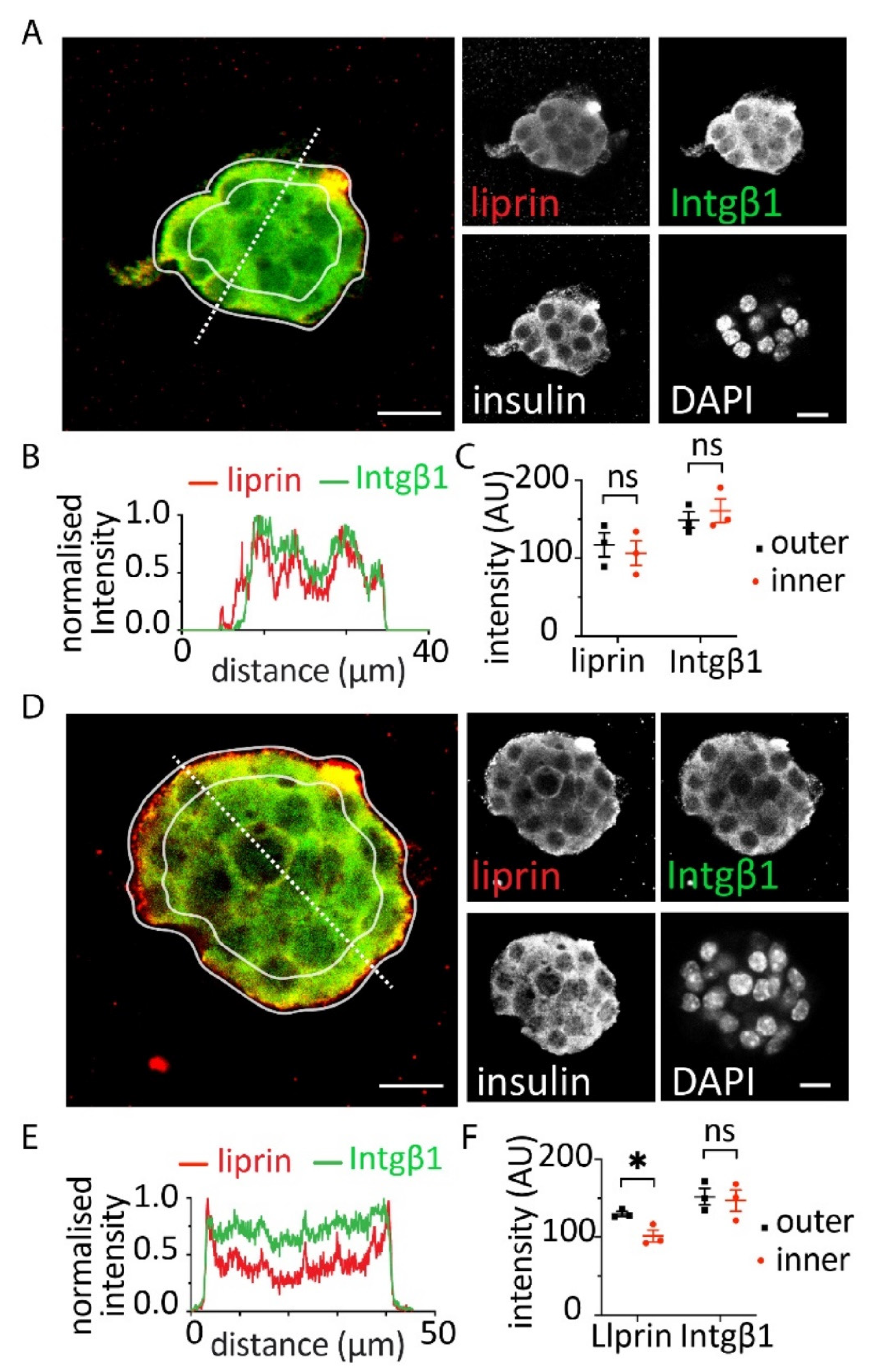 Bioengineering 09 00722 g003 Bioengineering 09 00722 g003