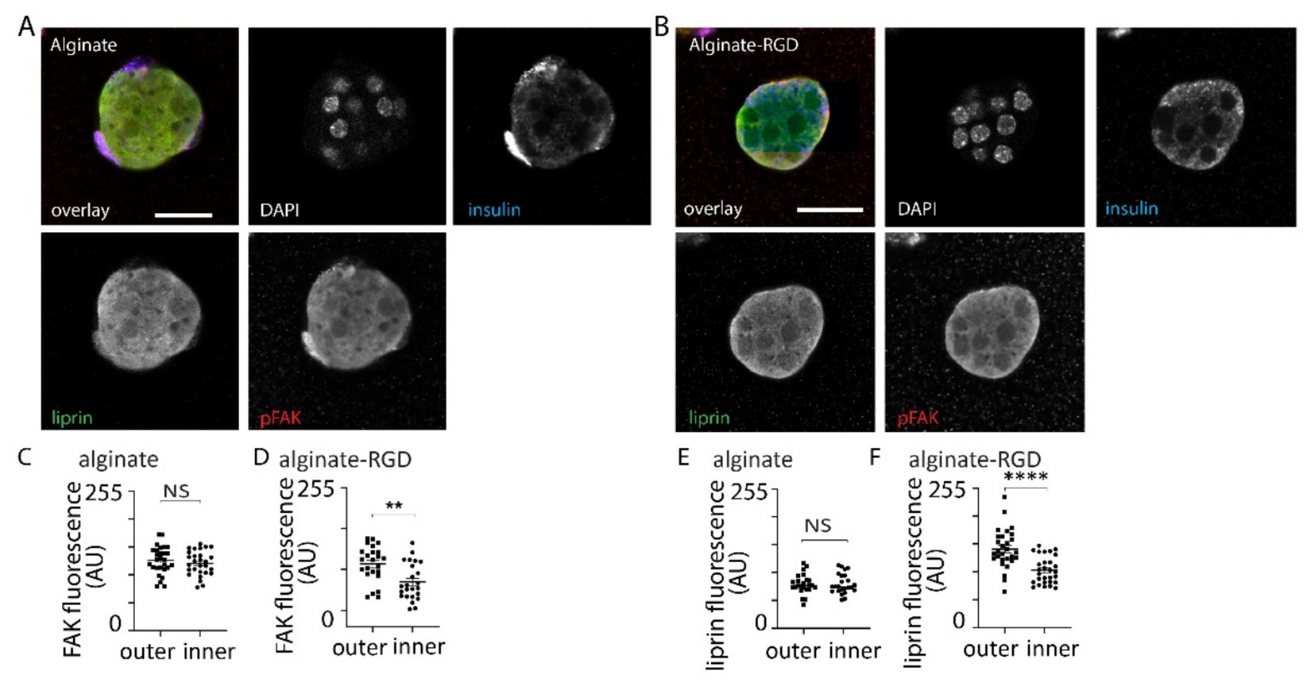 Bioengineering 09 00722 g004 Bioengineering 09 00722 g004