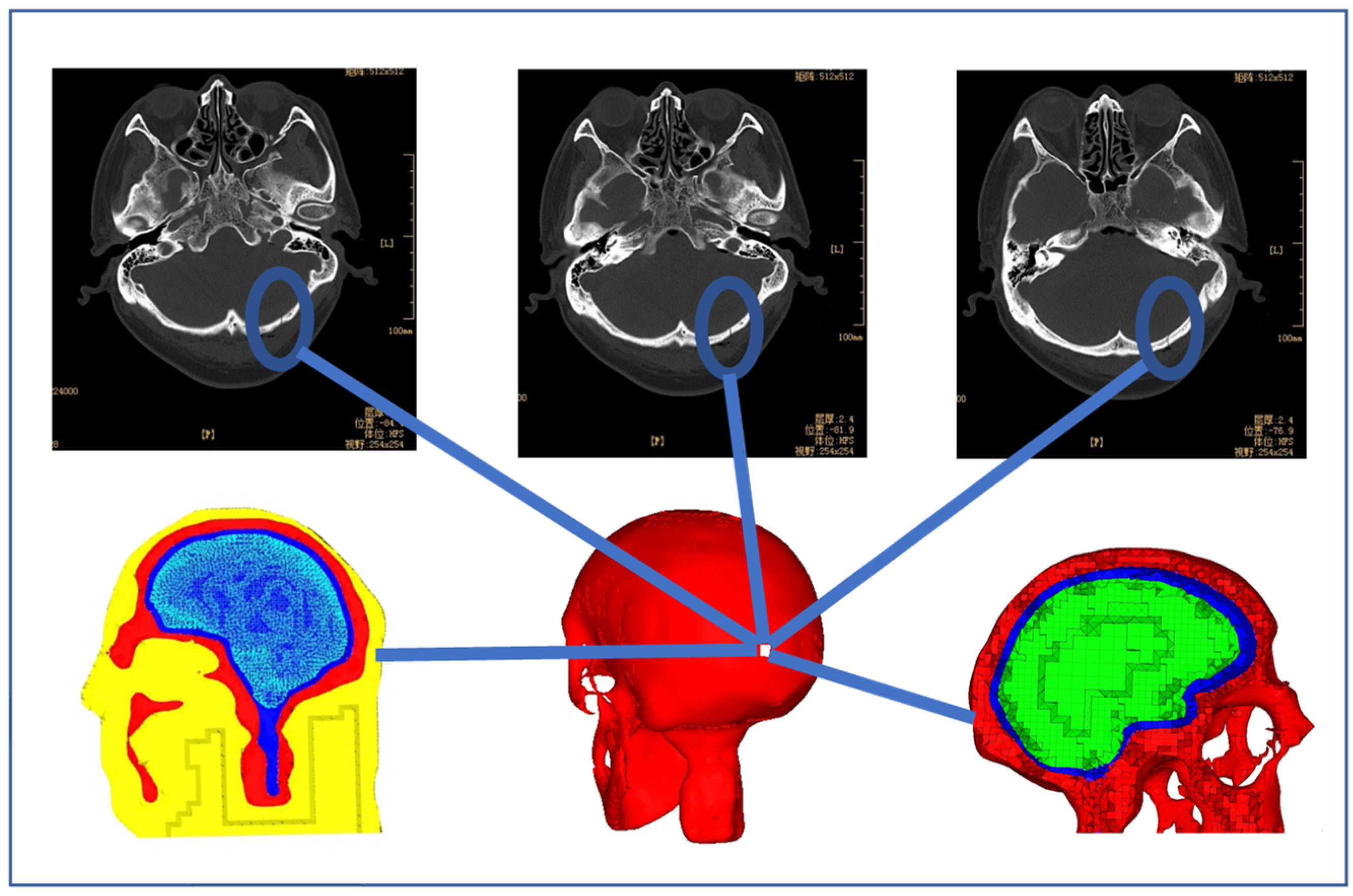 Bioengineering 09 00723 g002 Bioengineering 09 00723 g002