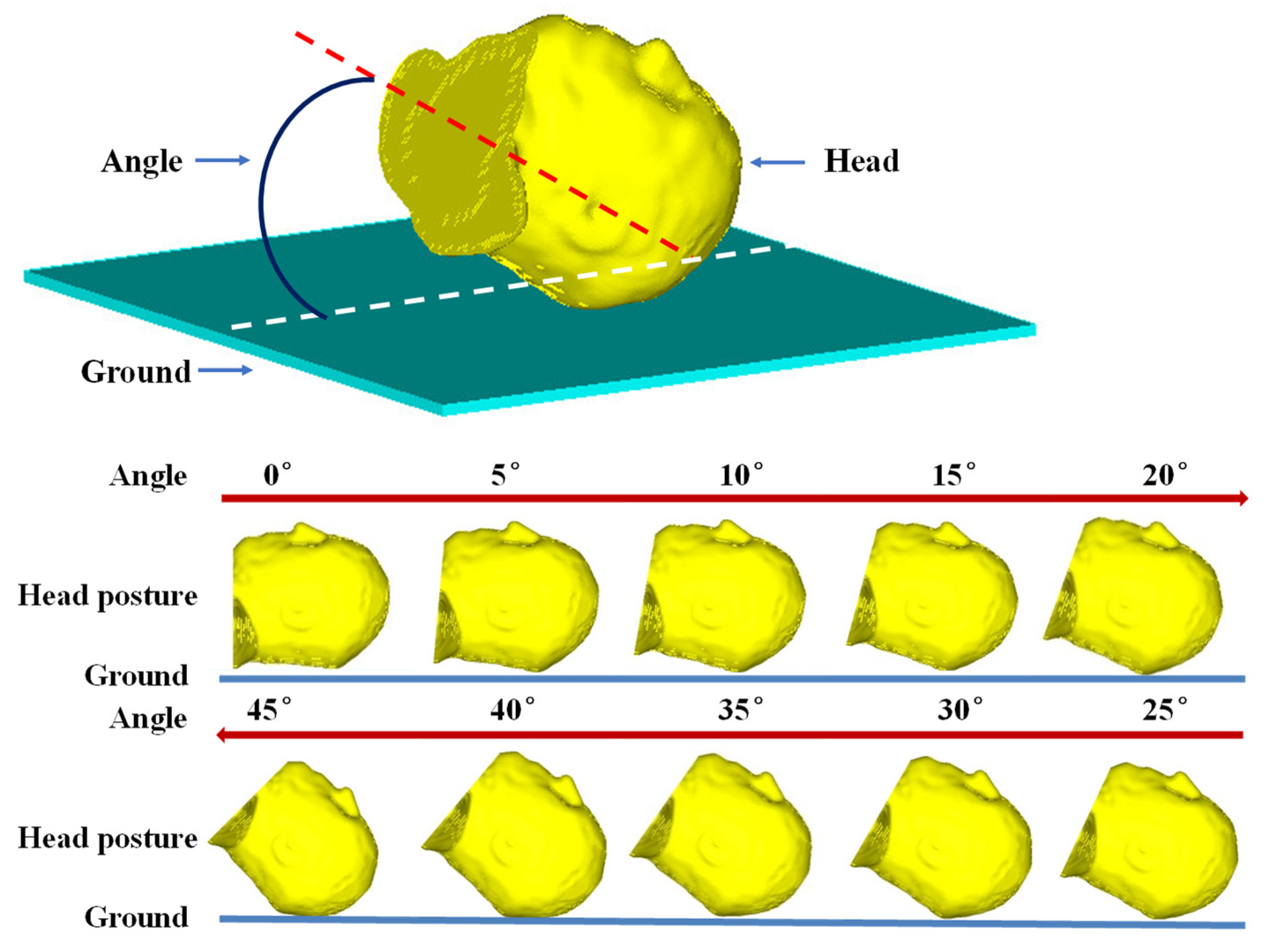 Bioengineering 09 00723 g003 Bioengineering 09 00723 g003