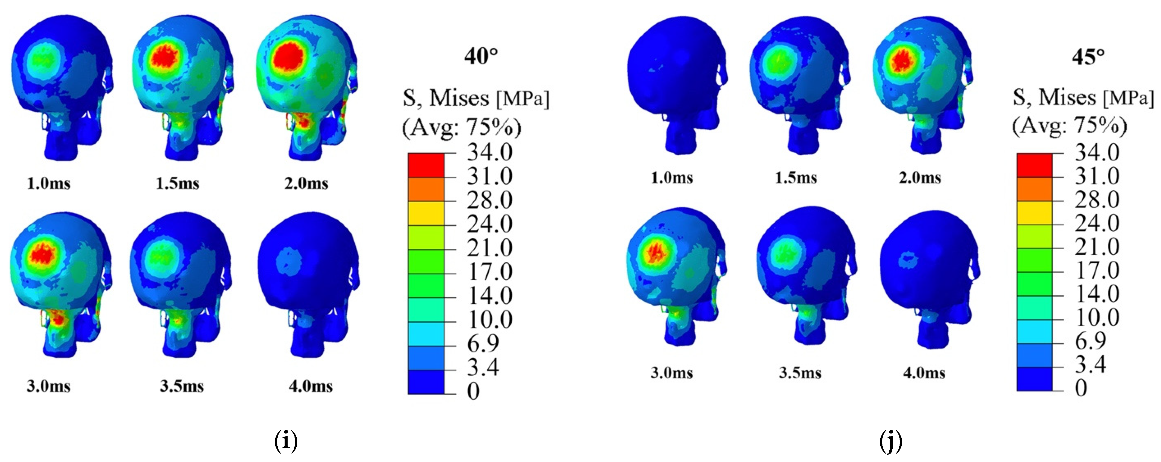 Bioengineering 09 00723 g005b Bioengineering 09 00723 g005b
