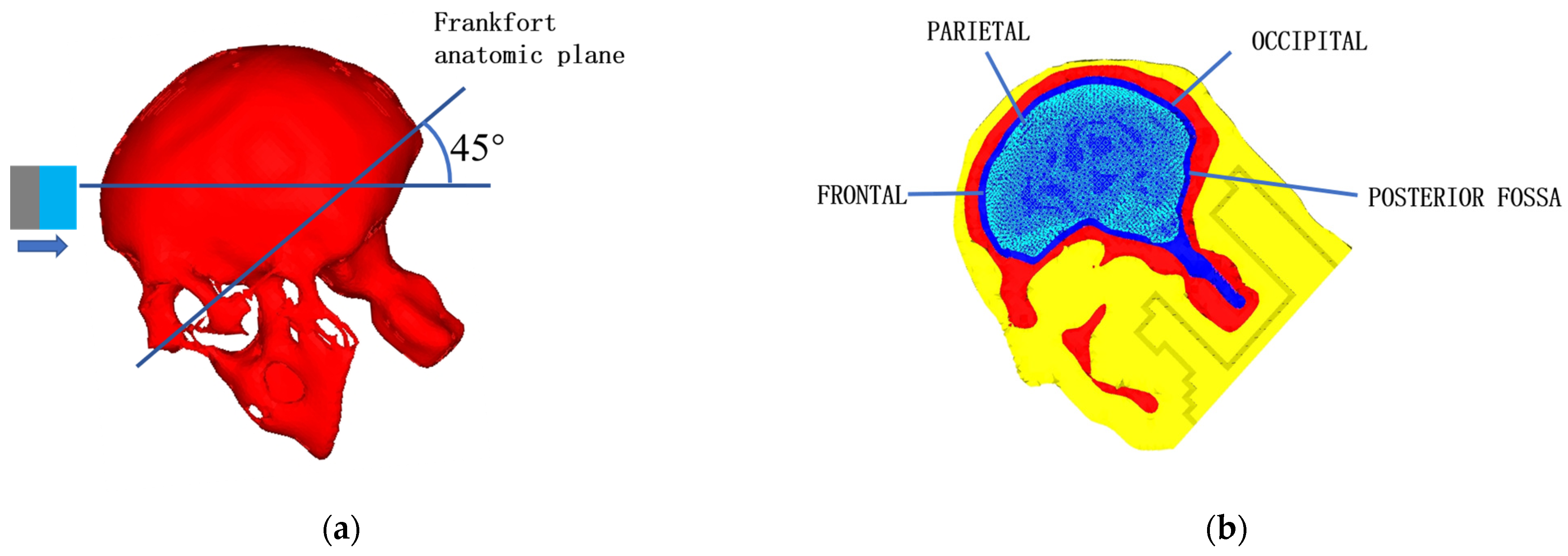 Bioengineering 09 00723 g009 Bioengineering 09 00723 g009