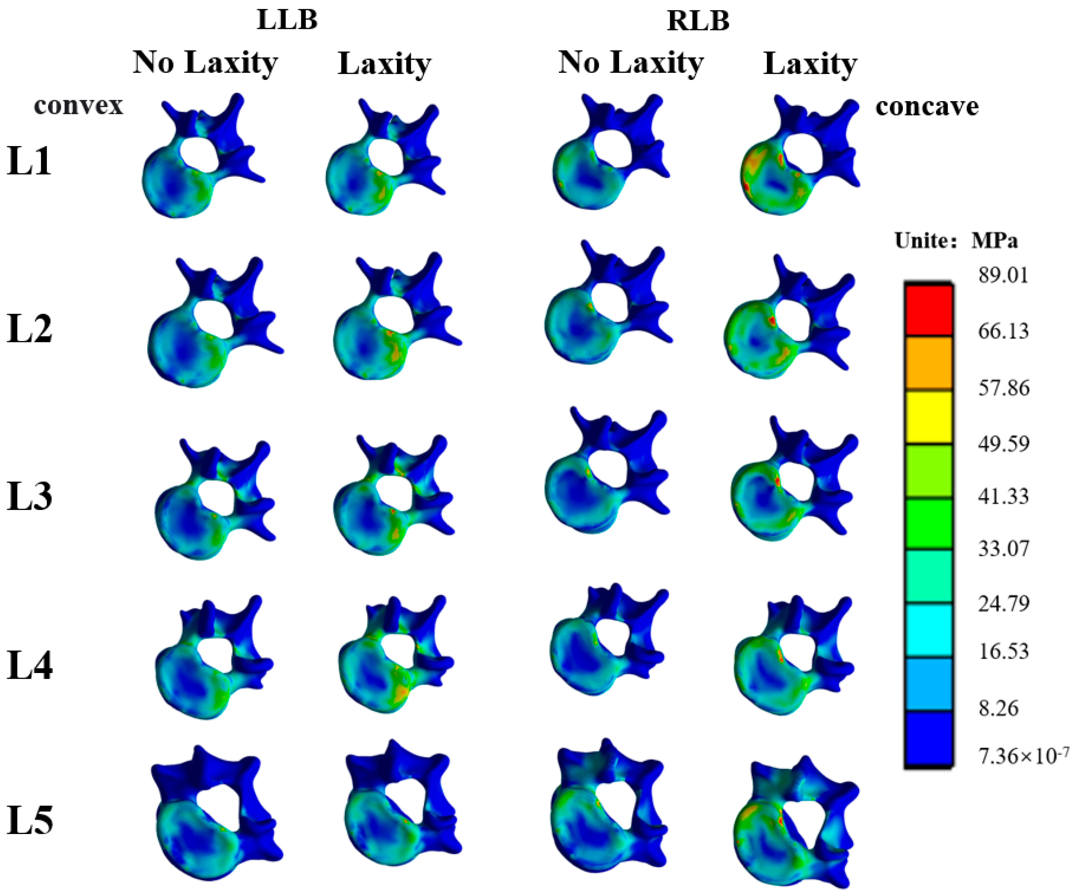 Bioengineering 09 00724 g004 Bioengineering 09 00724 g004