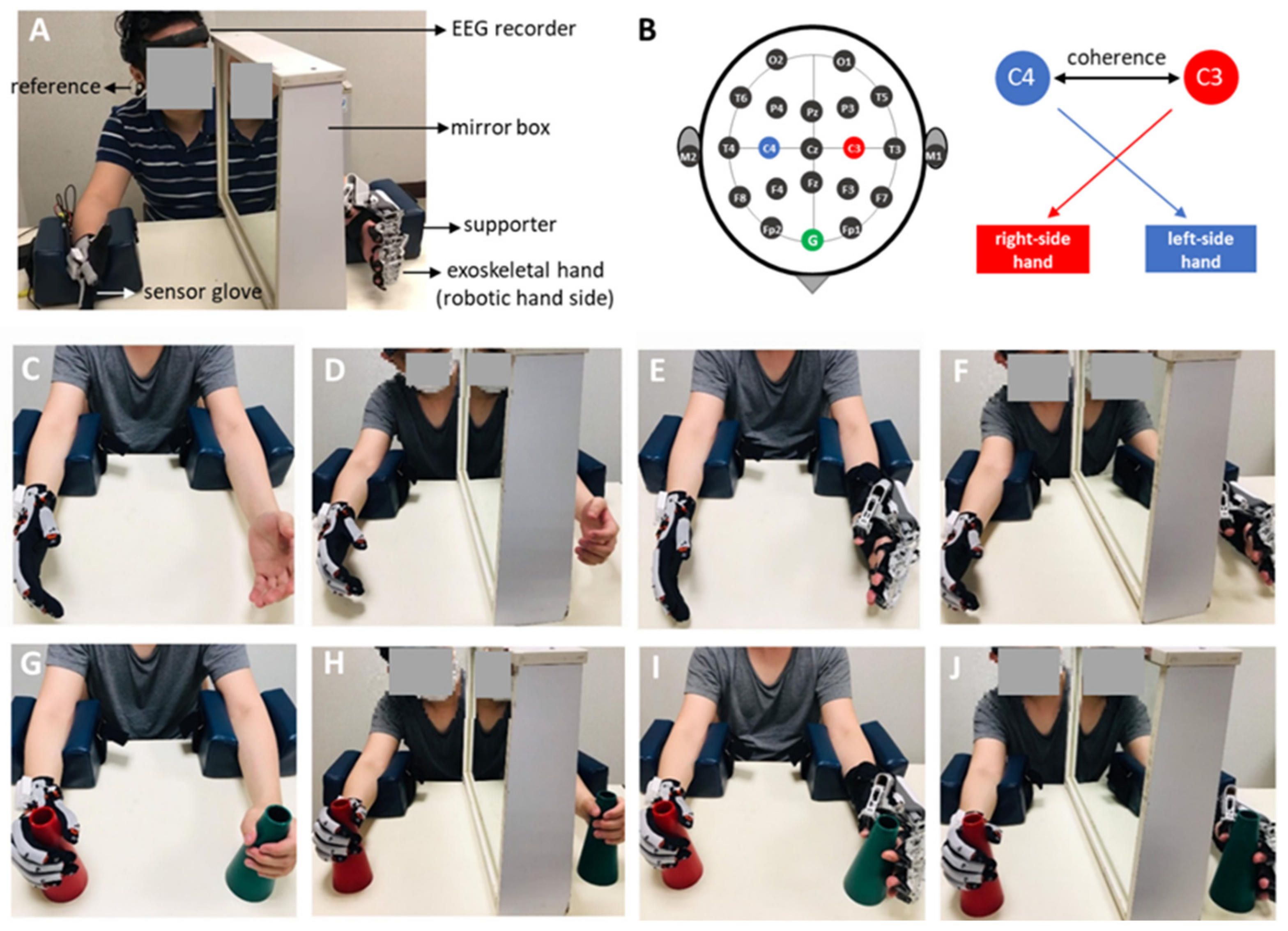 Bioengineering 09 00727 g002