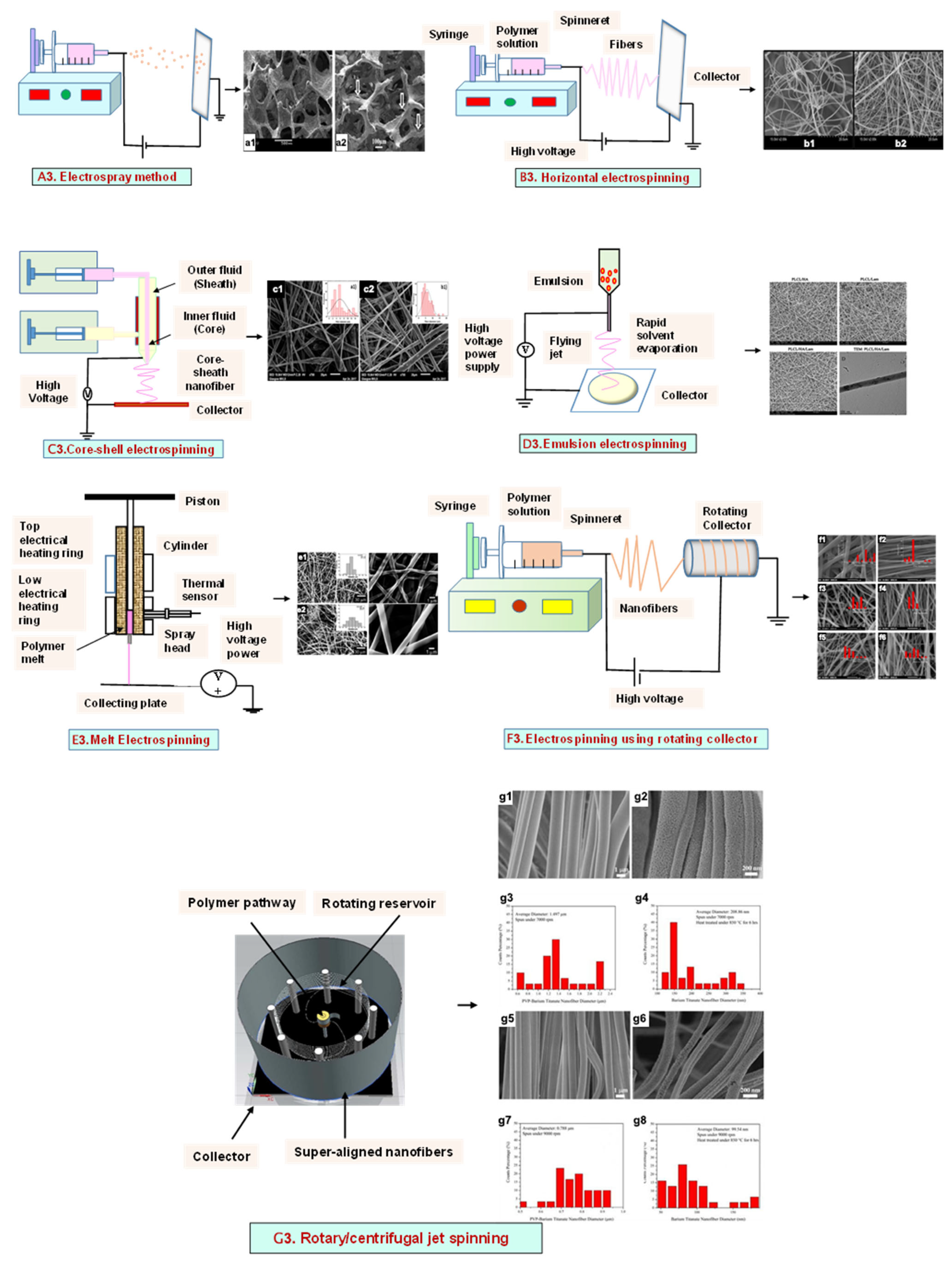 Bioengineering 09 00728 g003 Bioengineering 09 00728 g003