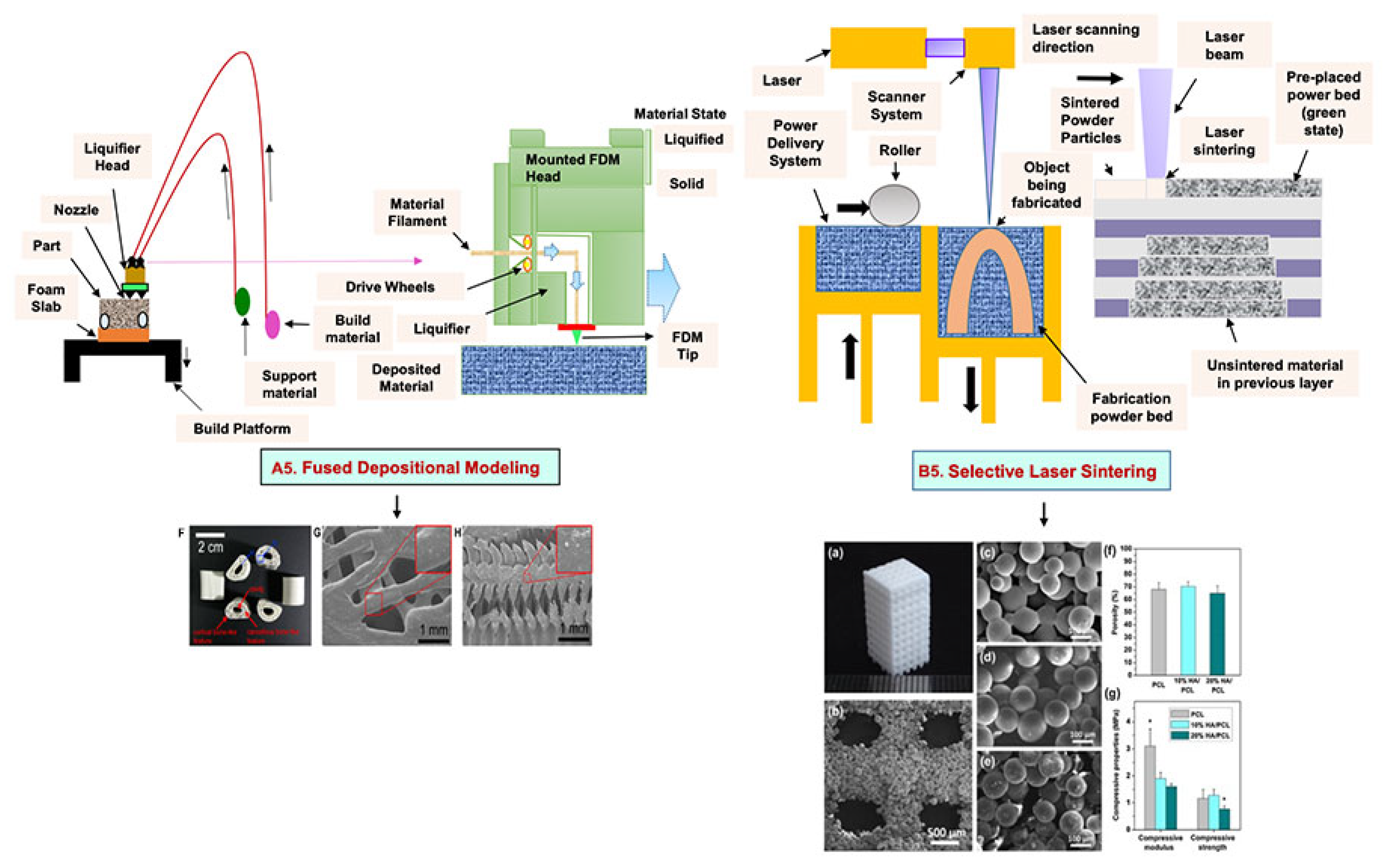 Bioengineering 09 00728 g005 Bioengineering 09 00728 g005
