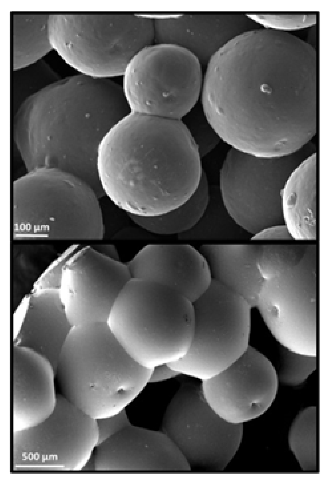 Bioengineering 09 00728 g008 Bioengineering 09 00728 g008