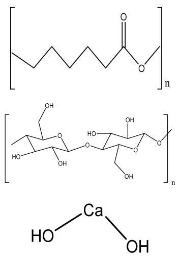 Bioengineering 09 00728 i012 Bioengineering 09 00728 i012