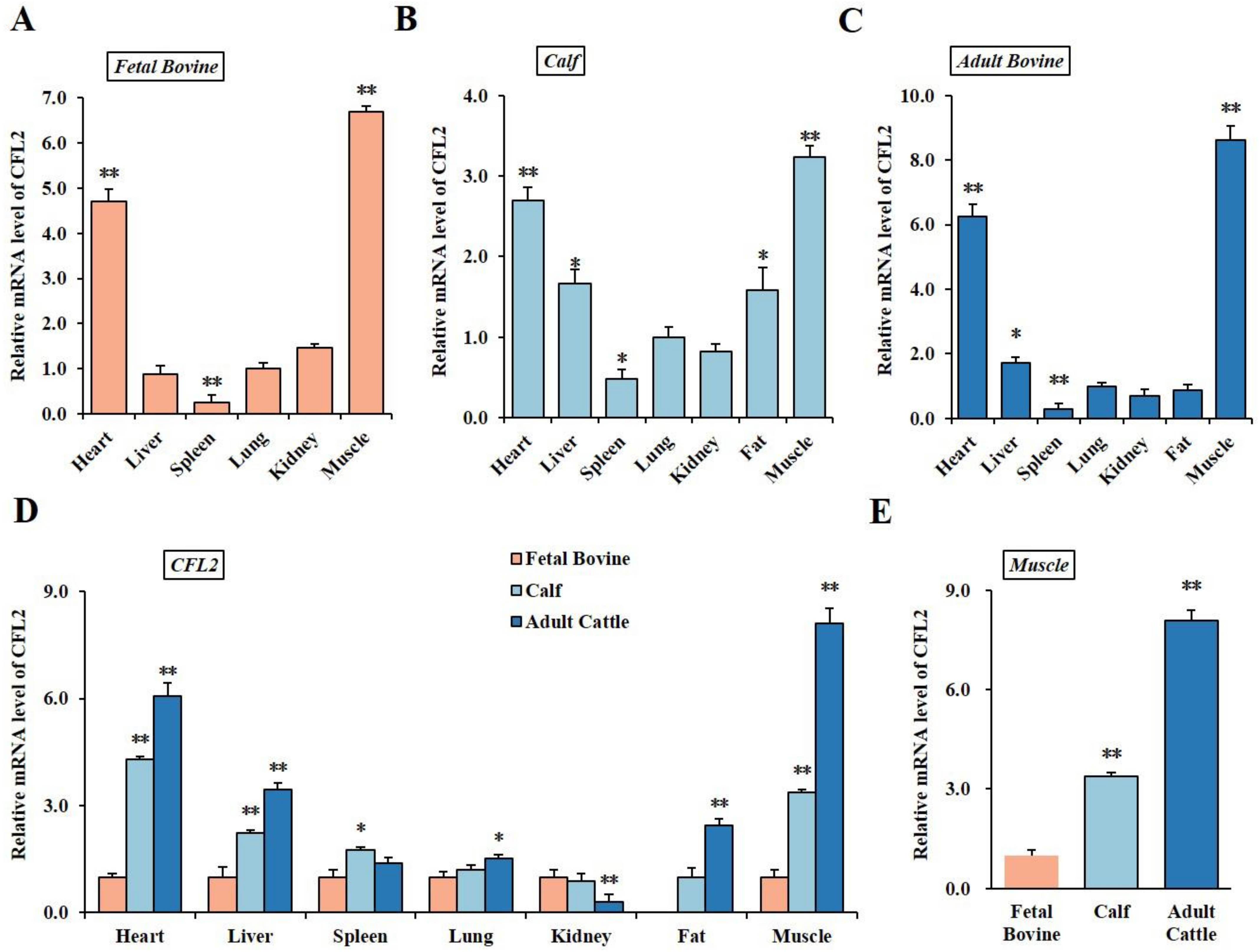 Bioengineering 09 00729 g001 Bioengineering 09 00729 g001