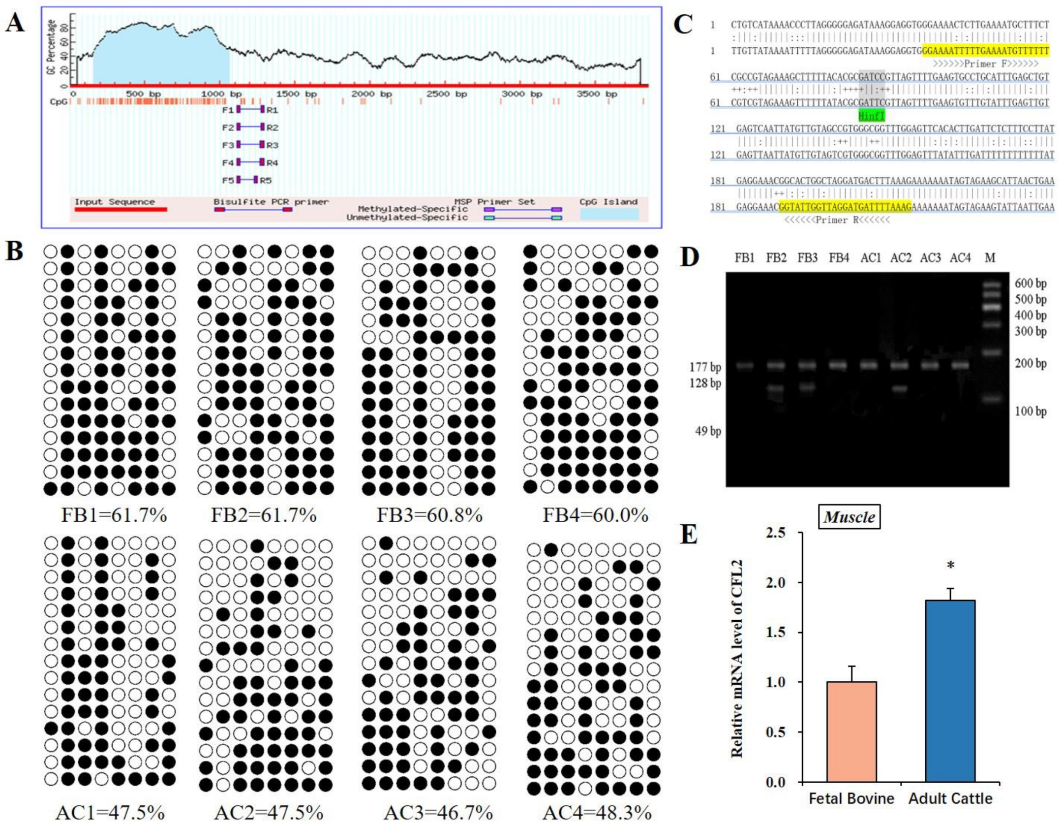 Bioengineering 09 00729 g002 Bioengineering 09 00729 g002