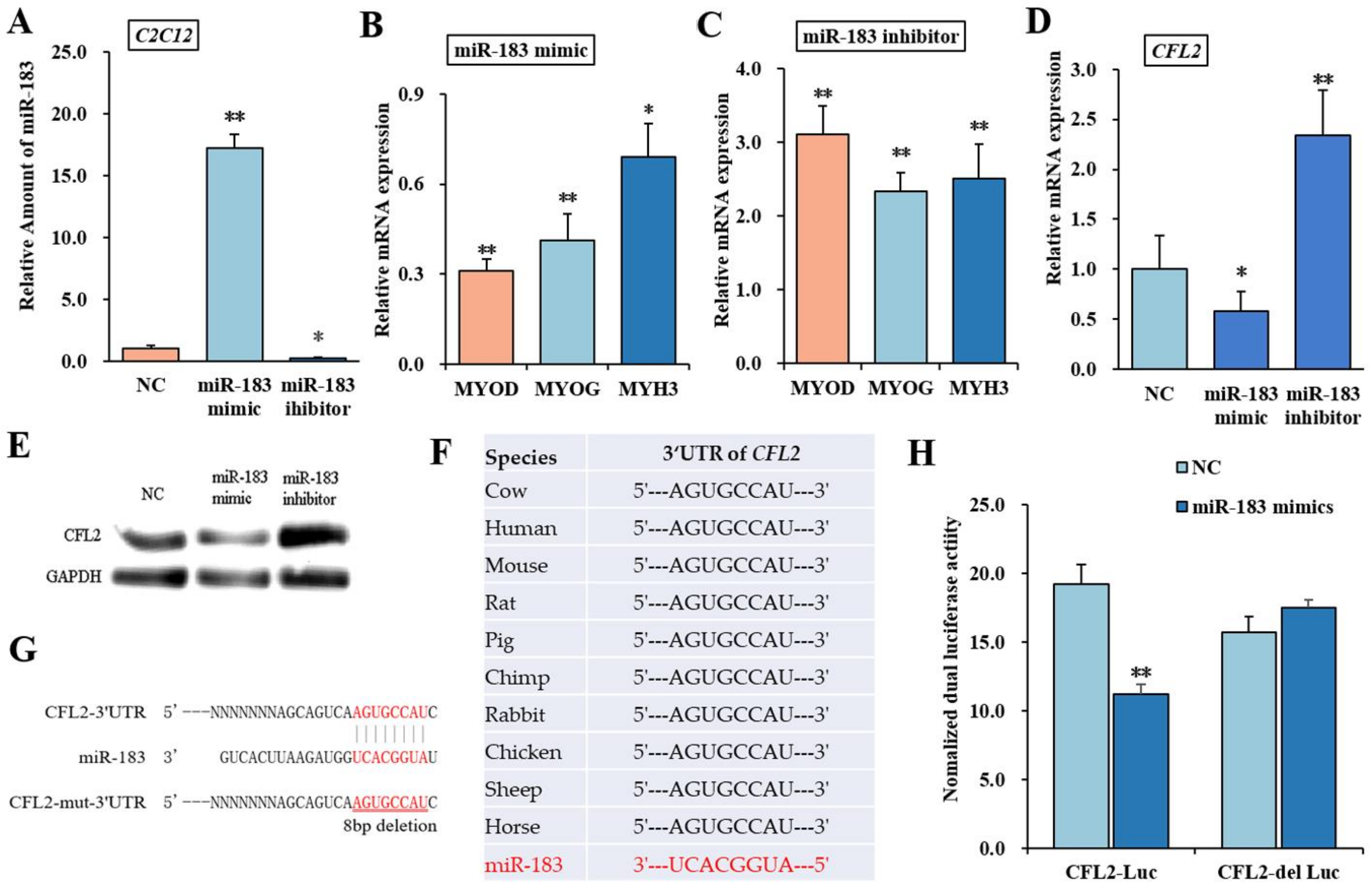 Bioengineering 09 00729 g003 Bioengineering 09 00729 g003