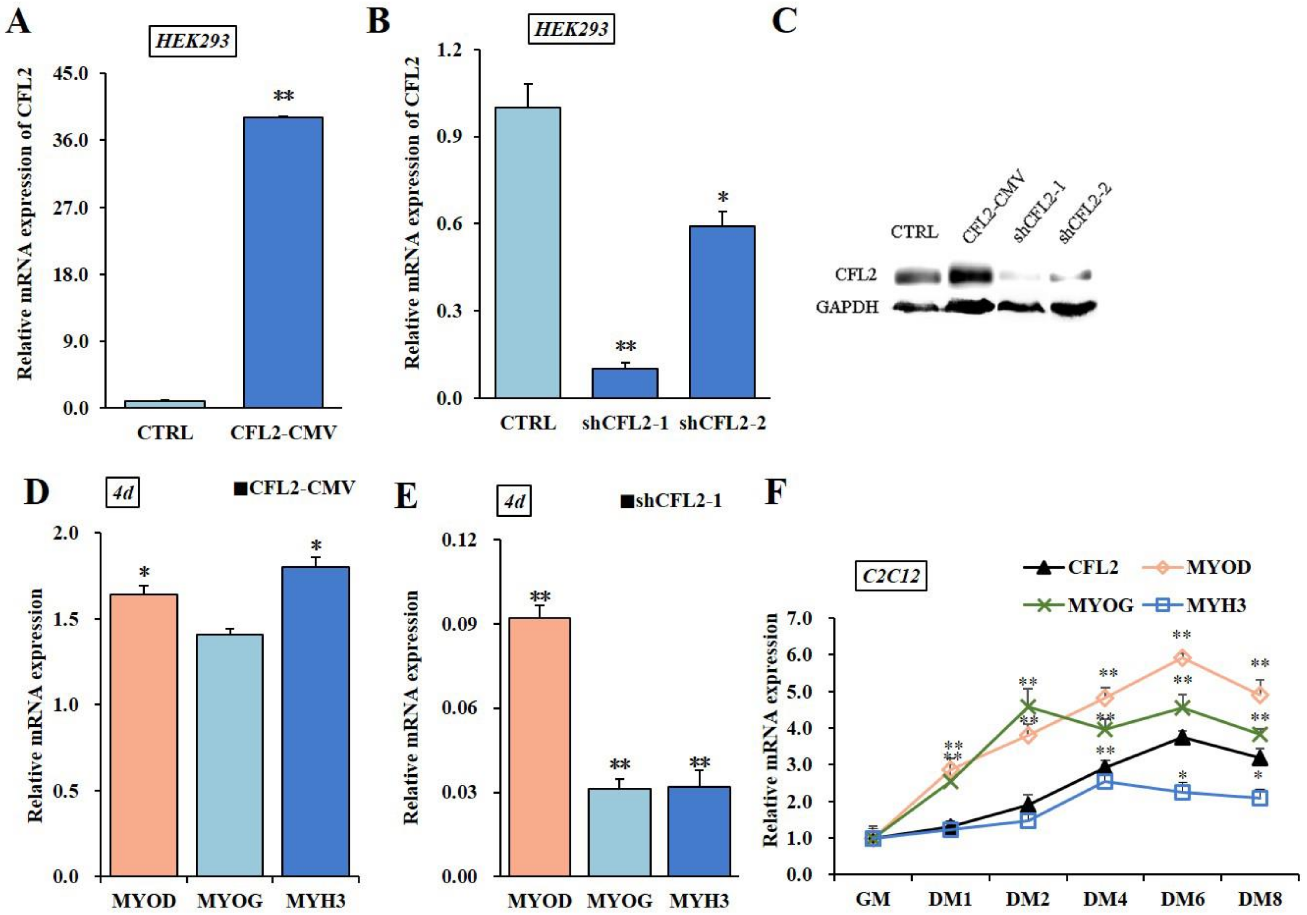 Bioengineering 09 00729 g004 Bioengineering 09 00729 g004