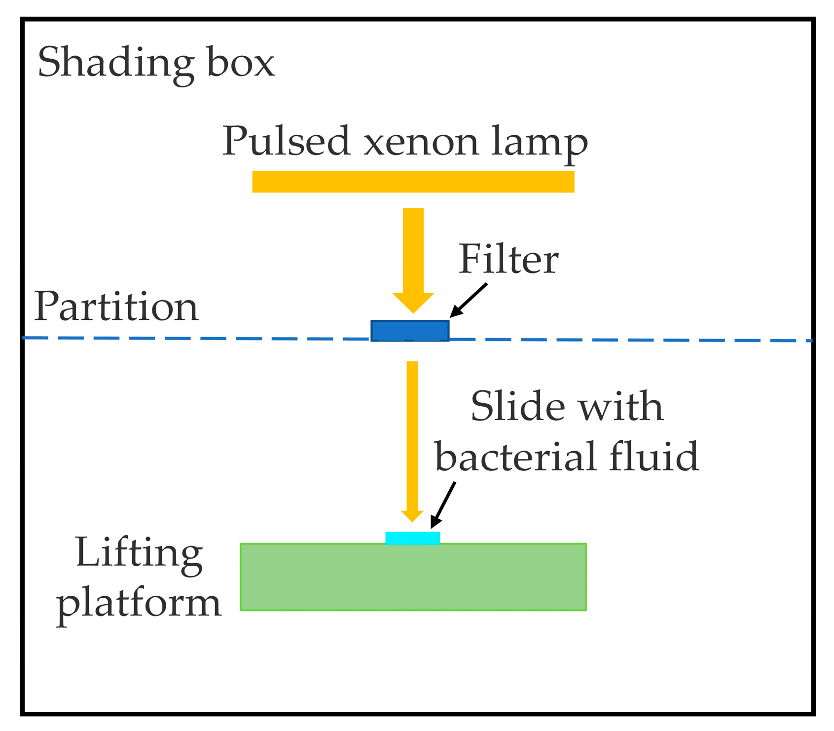 Bioengineering 09 00730 g001