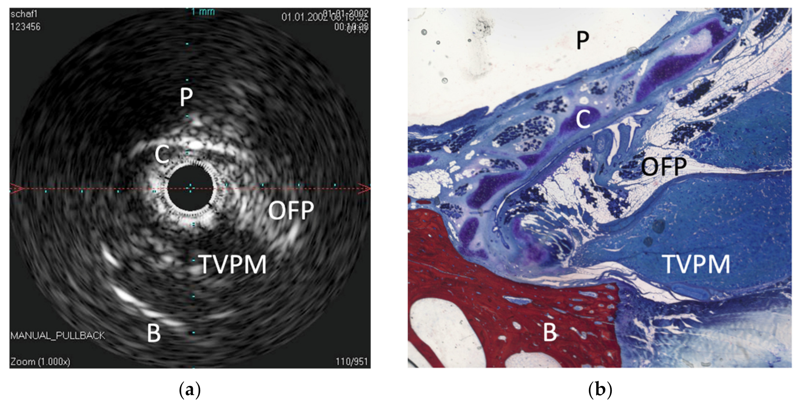 Bioengineering 09 00733 g001