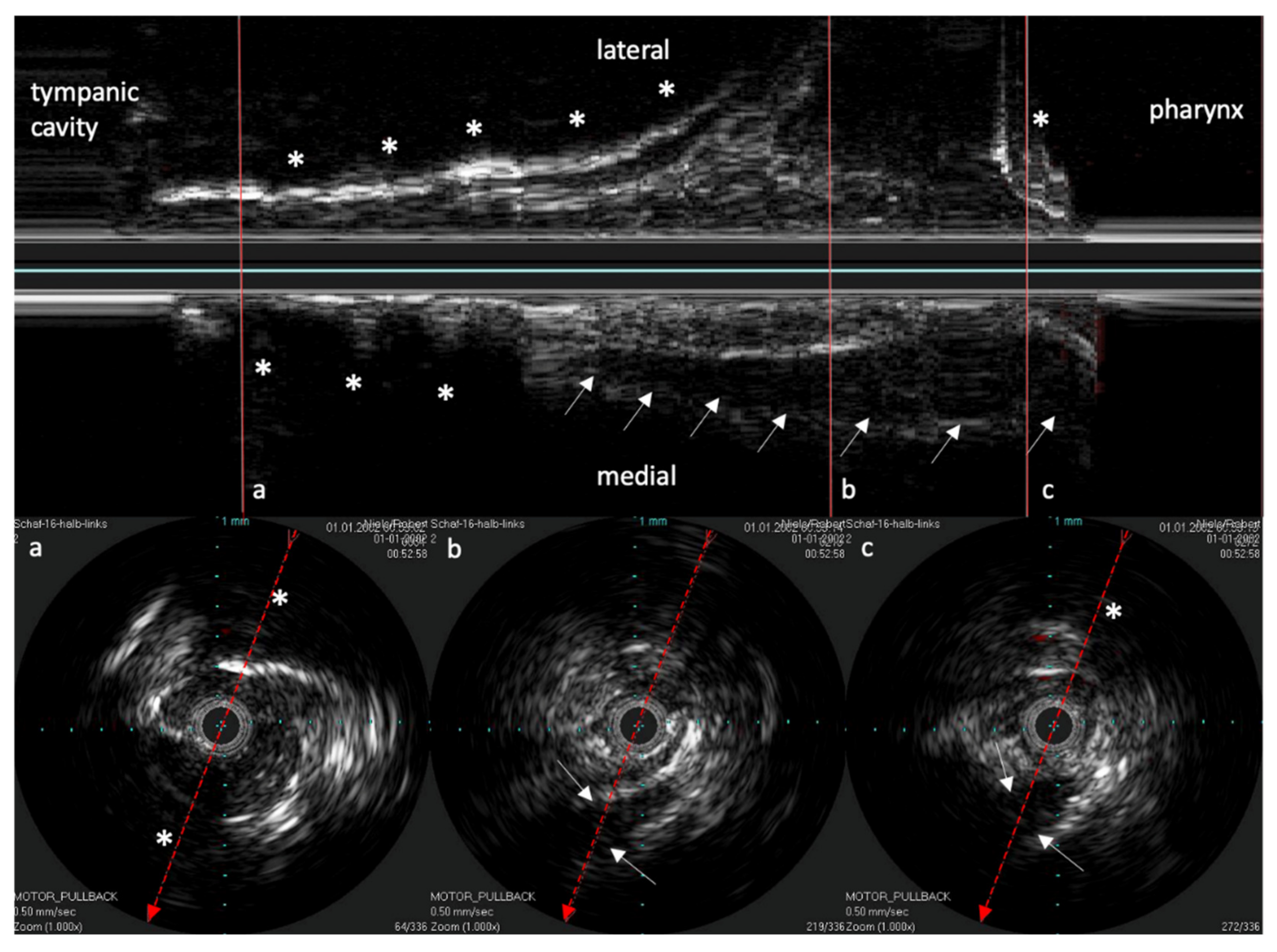 Bioengineering 09 00733 g004
