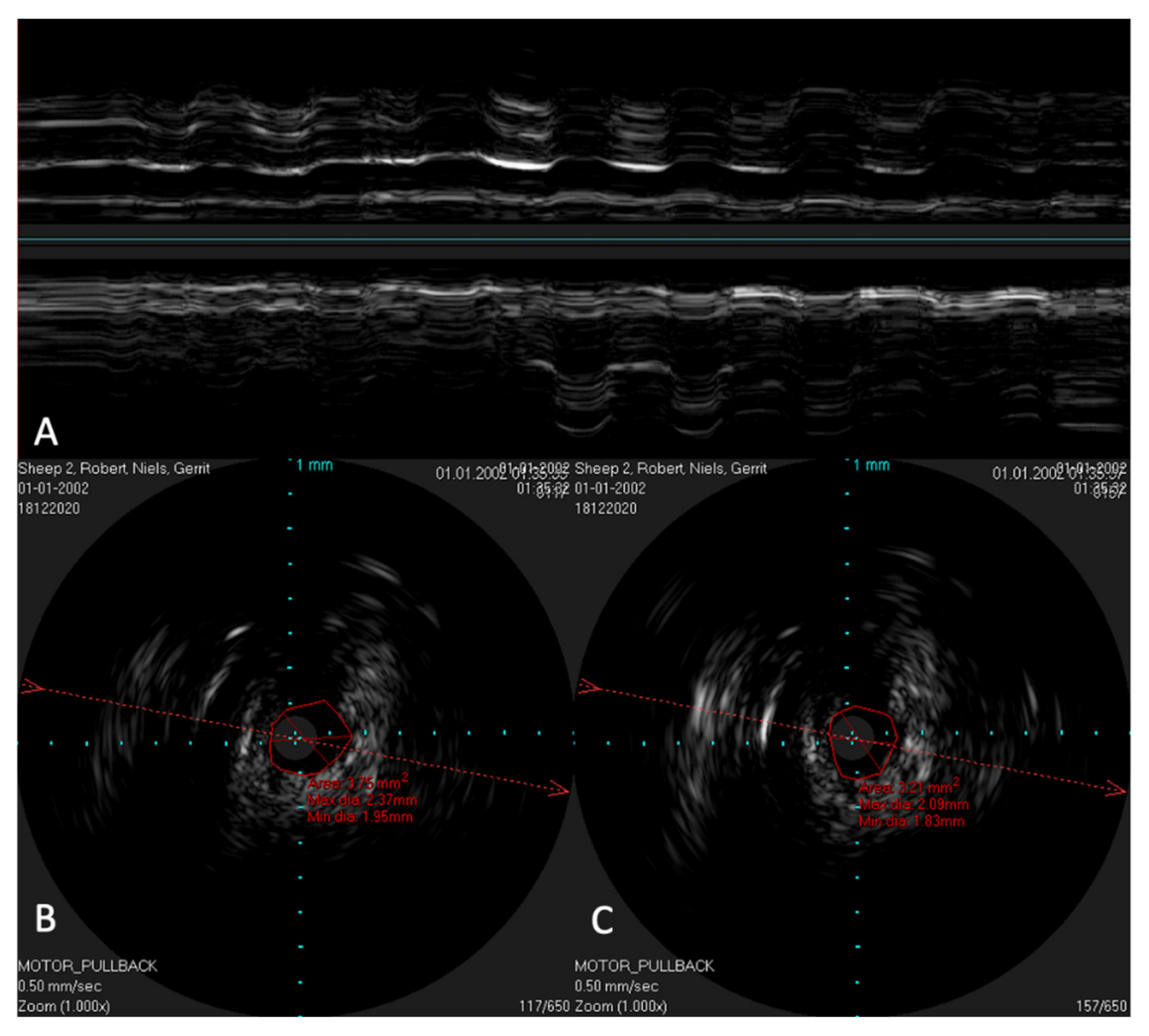 Bioengineering 09 00733 g009