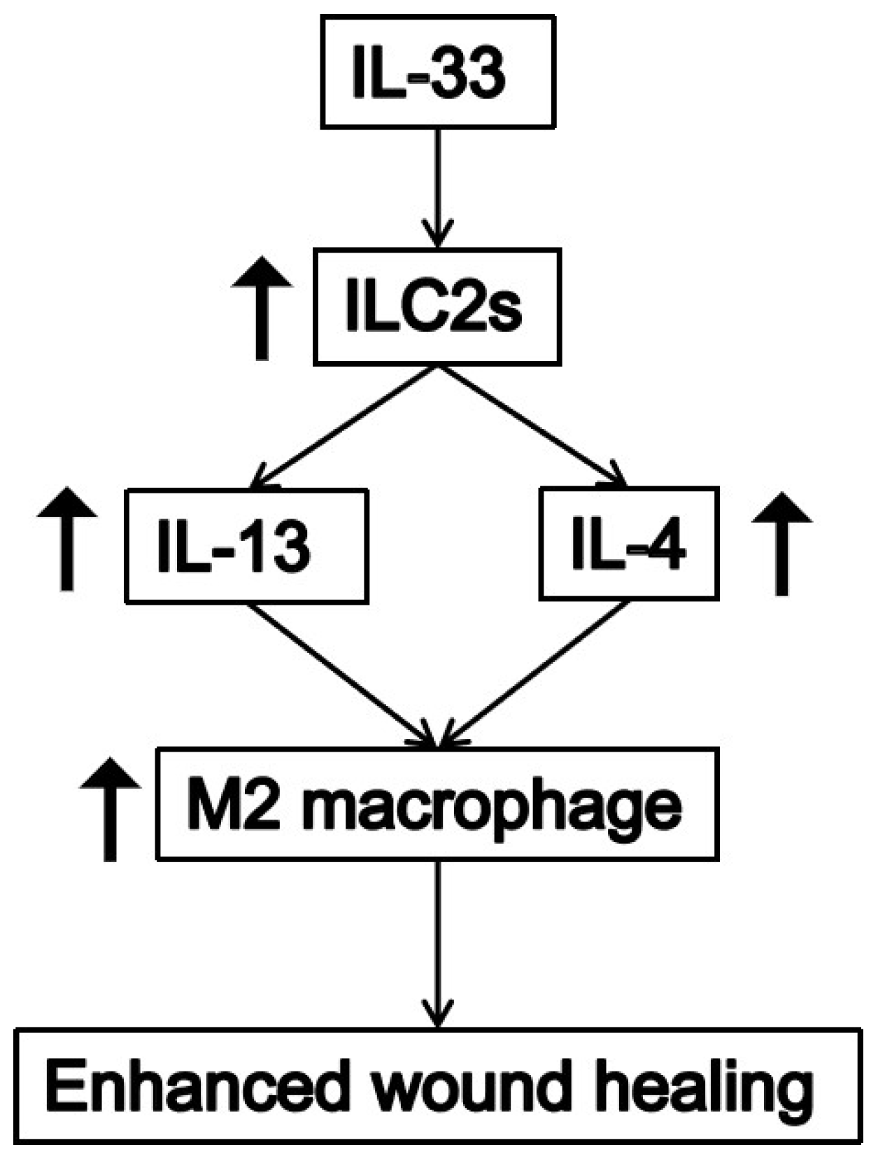 Bioengineering 09 00734 g006