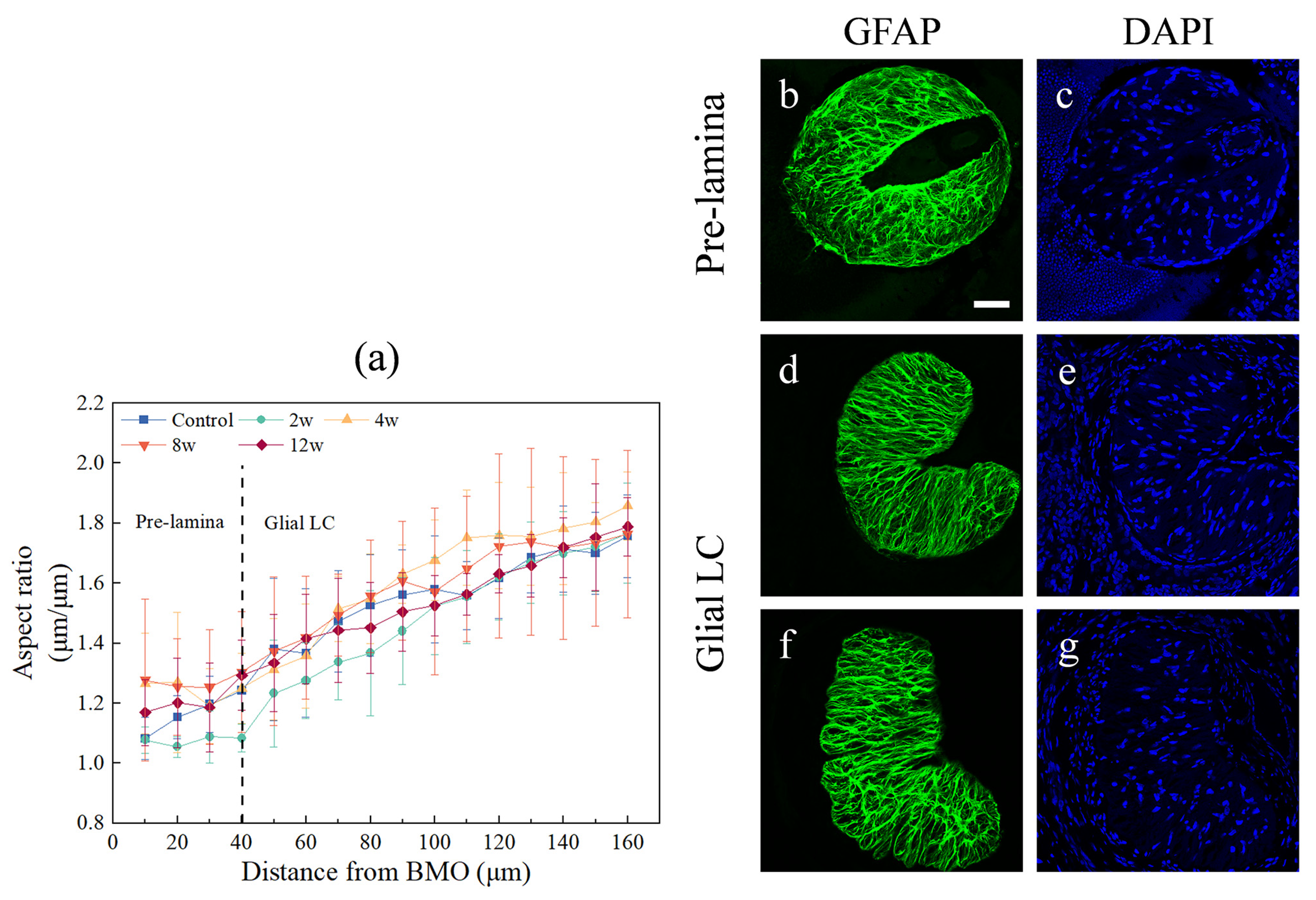 Bioengineering 09 00741 g004 Bioengineering 09 00741 g004