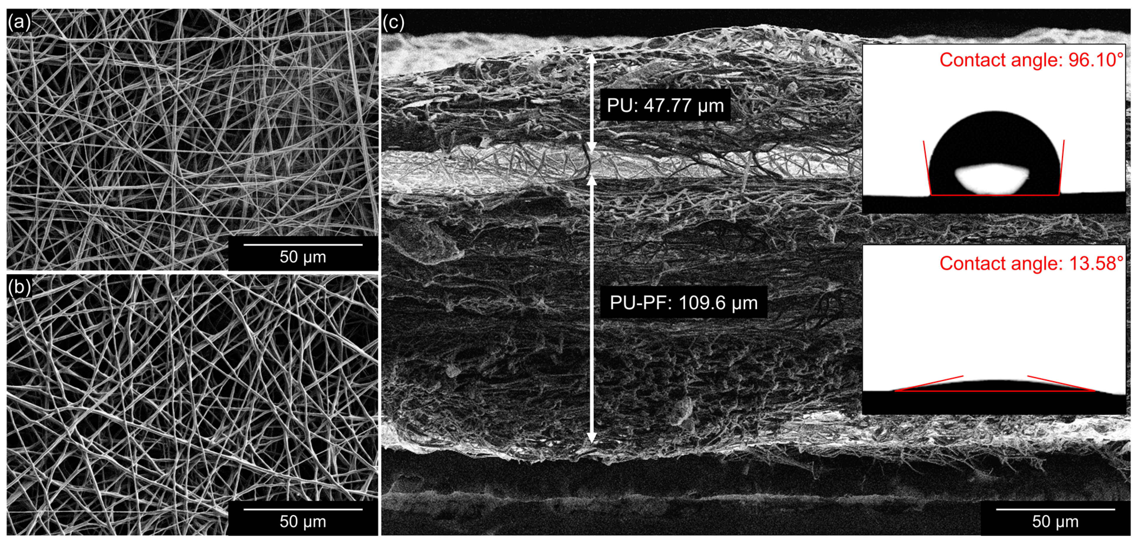 Bioengineering 09 00742 g001 Bioengineering 09 00742 g001