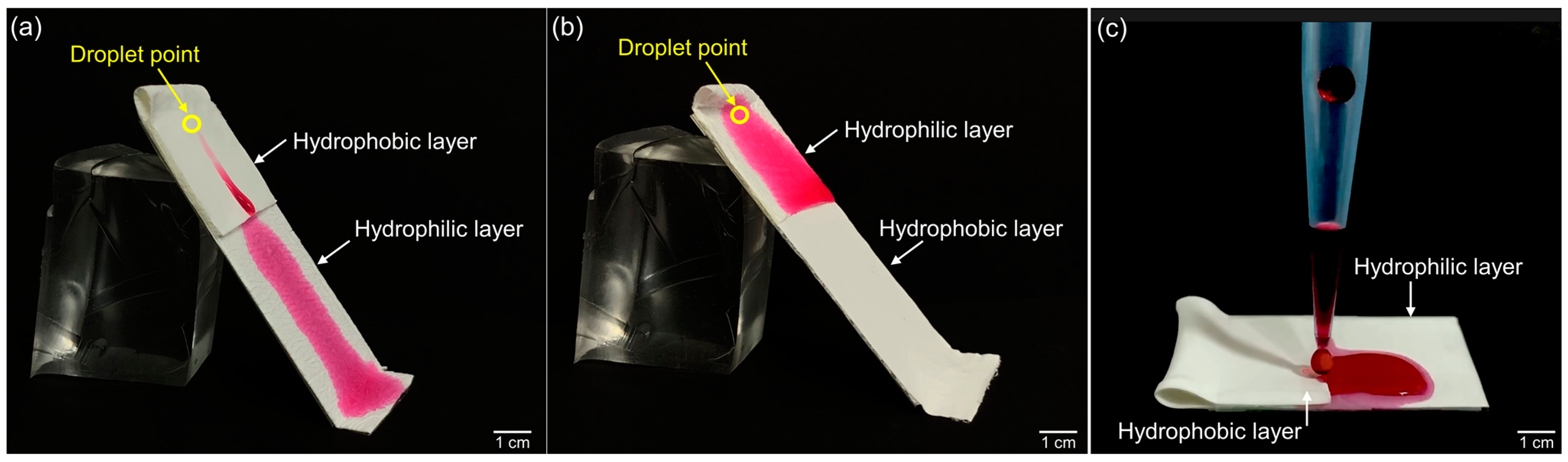 Bioengineering 09 00742 g002 Bioengineering 09 00742 g002