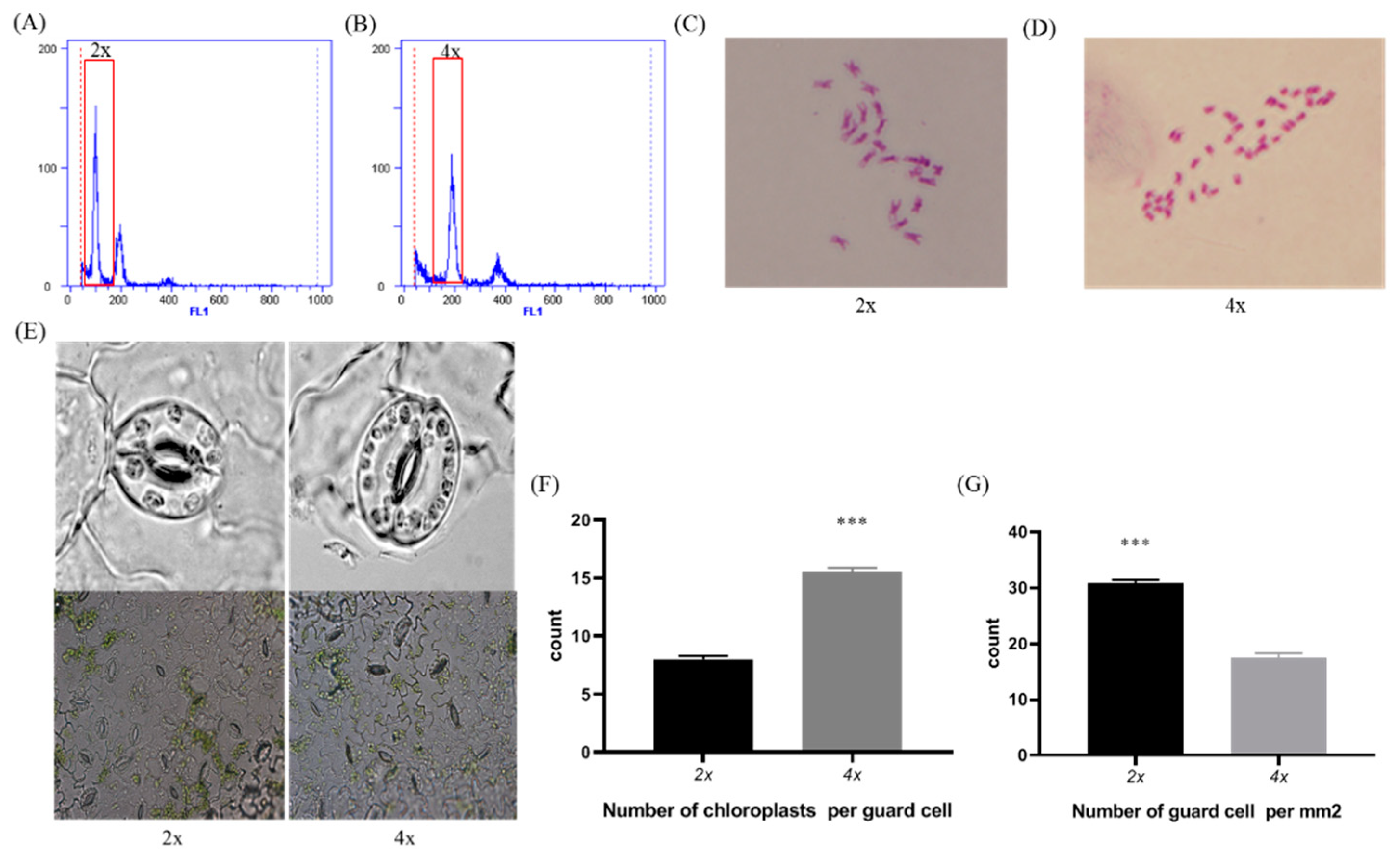 Bioengineering 09 00746 g001 Bioengineering 09 00746 g001