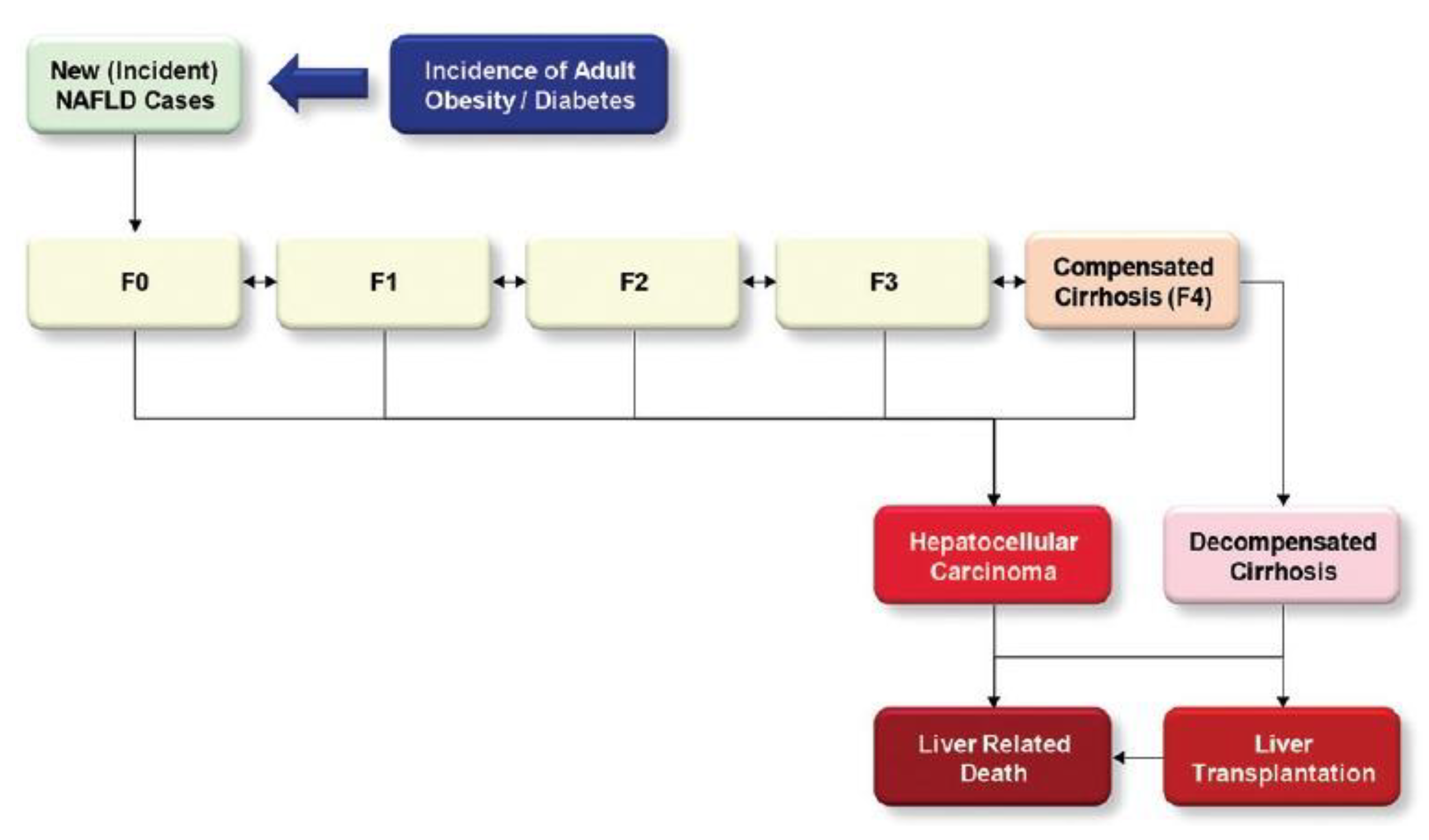 Bioengineering 09 00748 g002