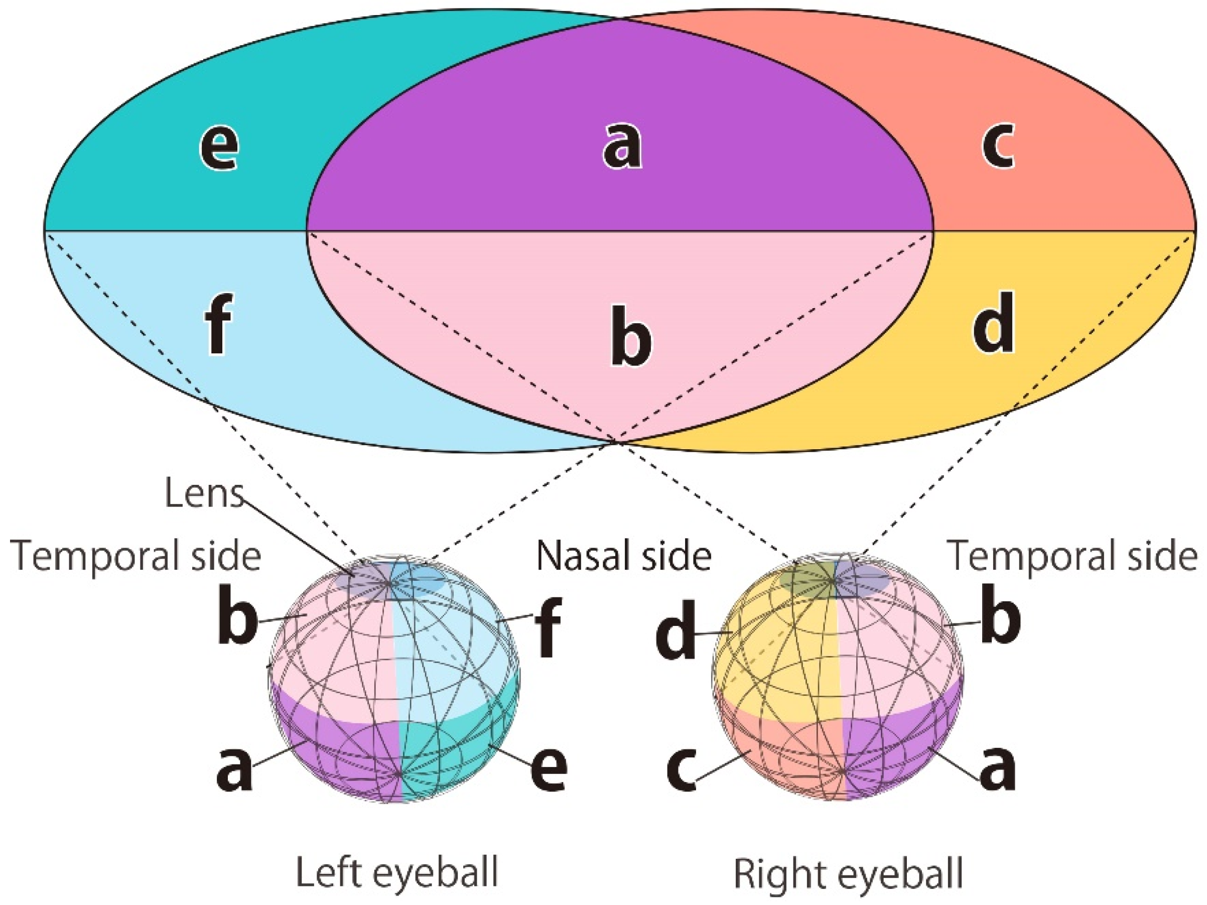 Bioengineering 09 00752 g002