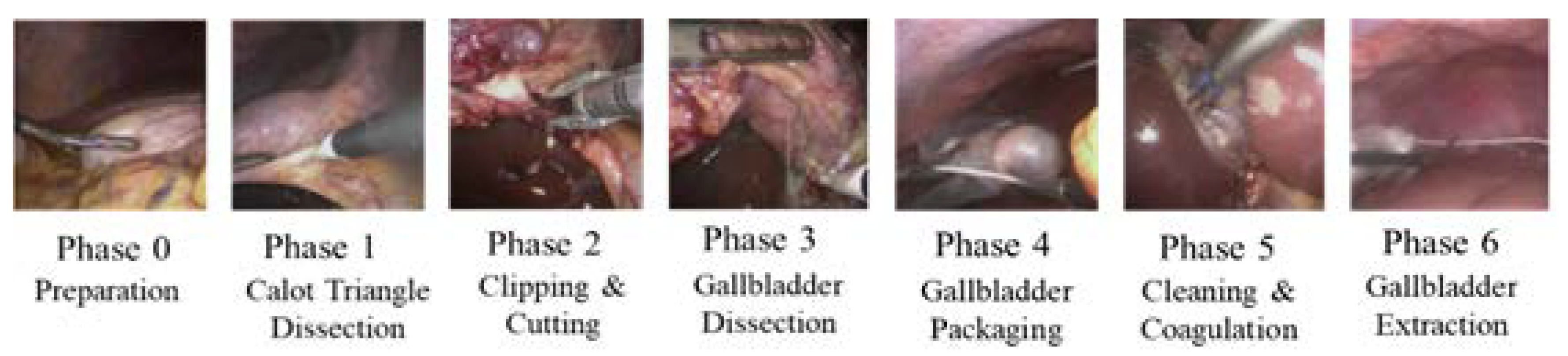 Bioengineering 09 00753 g001