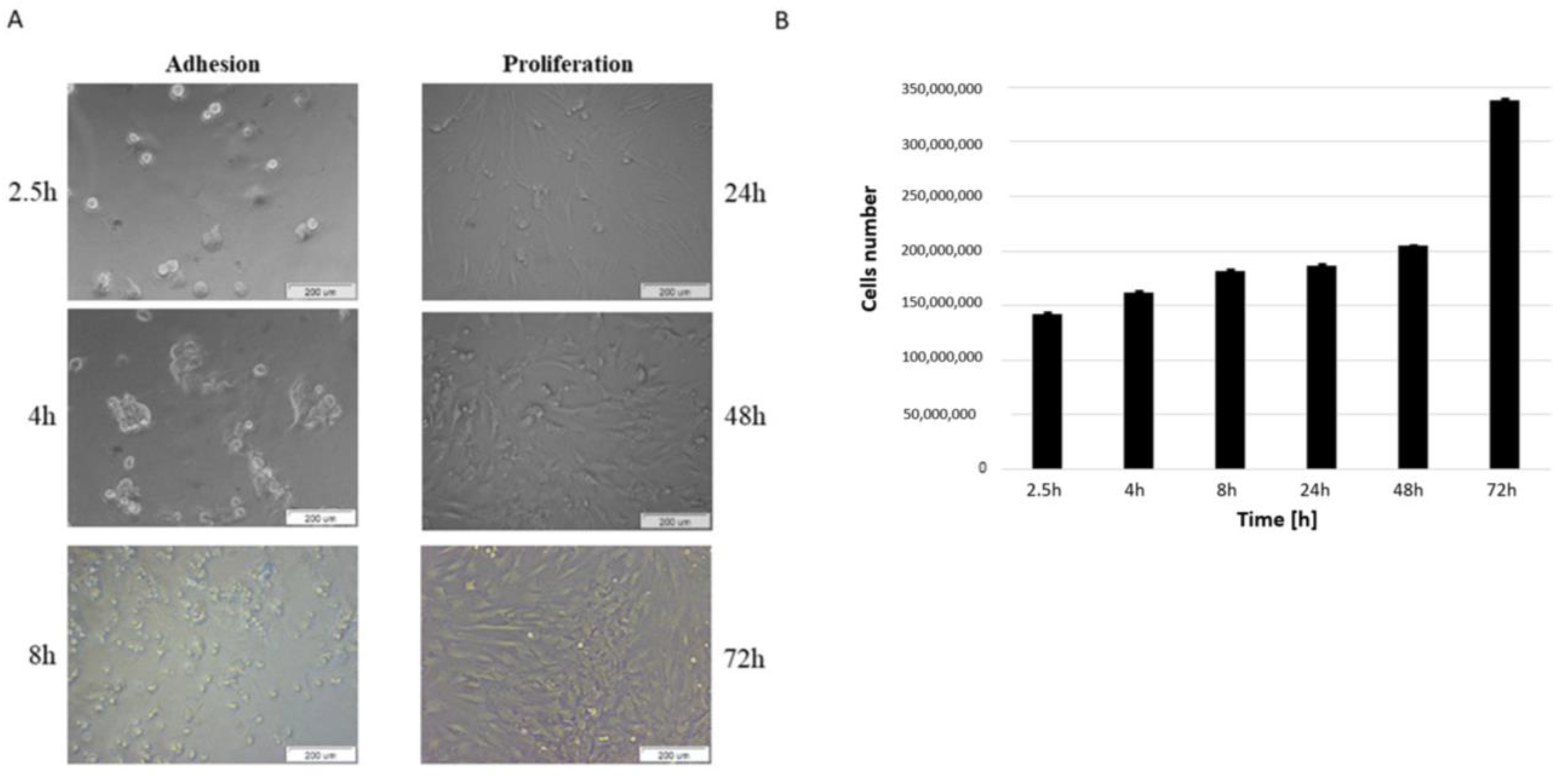 Bioengineering 09 00754 g001 Bioengineering 09 00754 g001