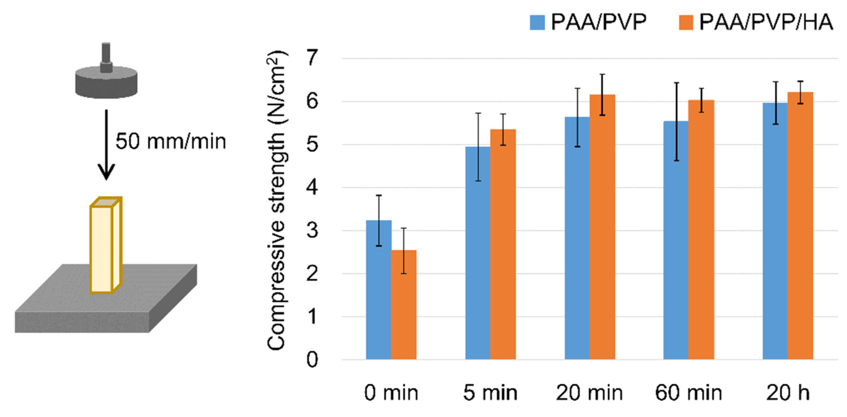 Bioengineering 09 00755 g003