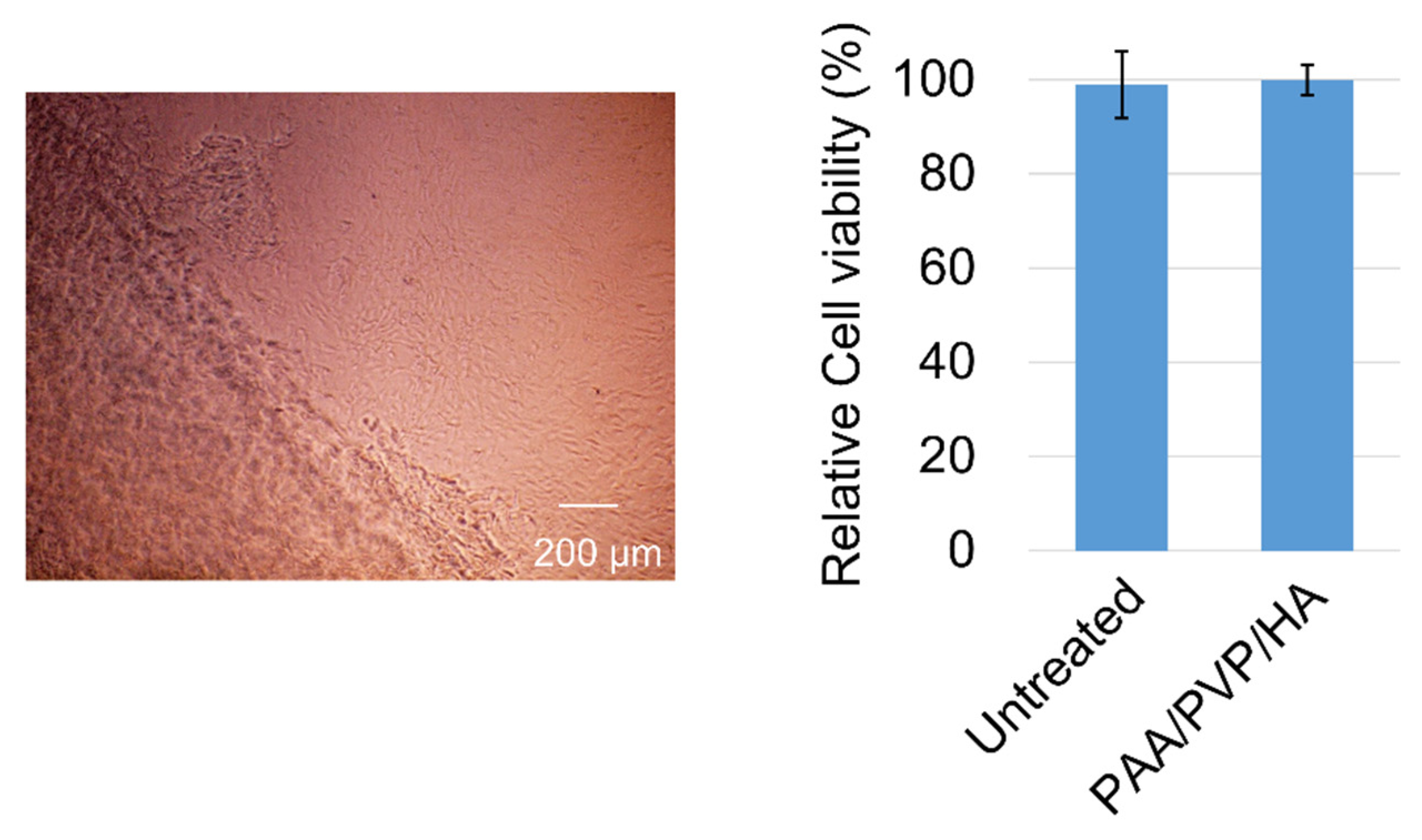 Bioengineering 09 00755 g006