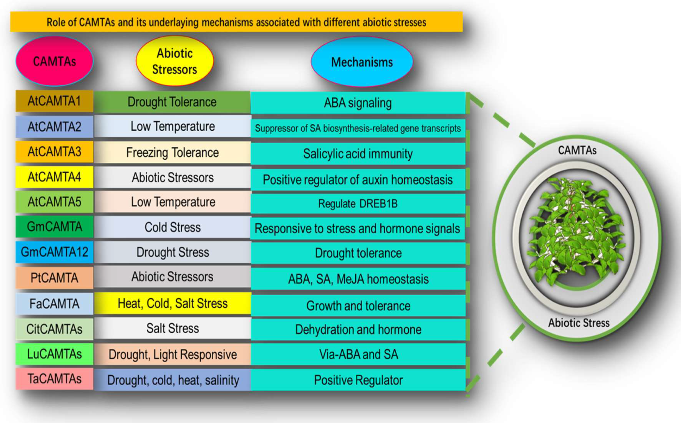 Bioengineering 09 00759 g001