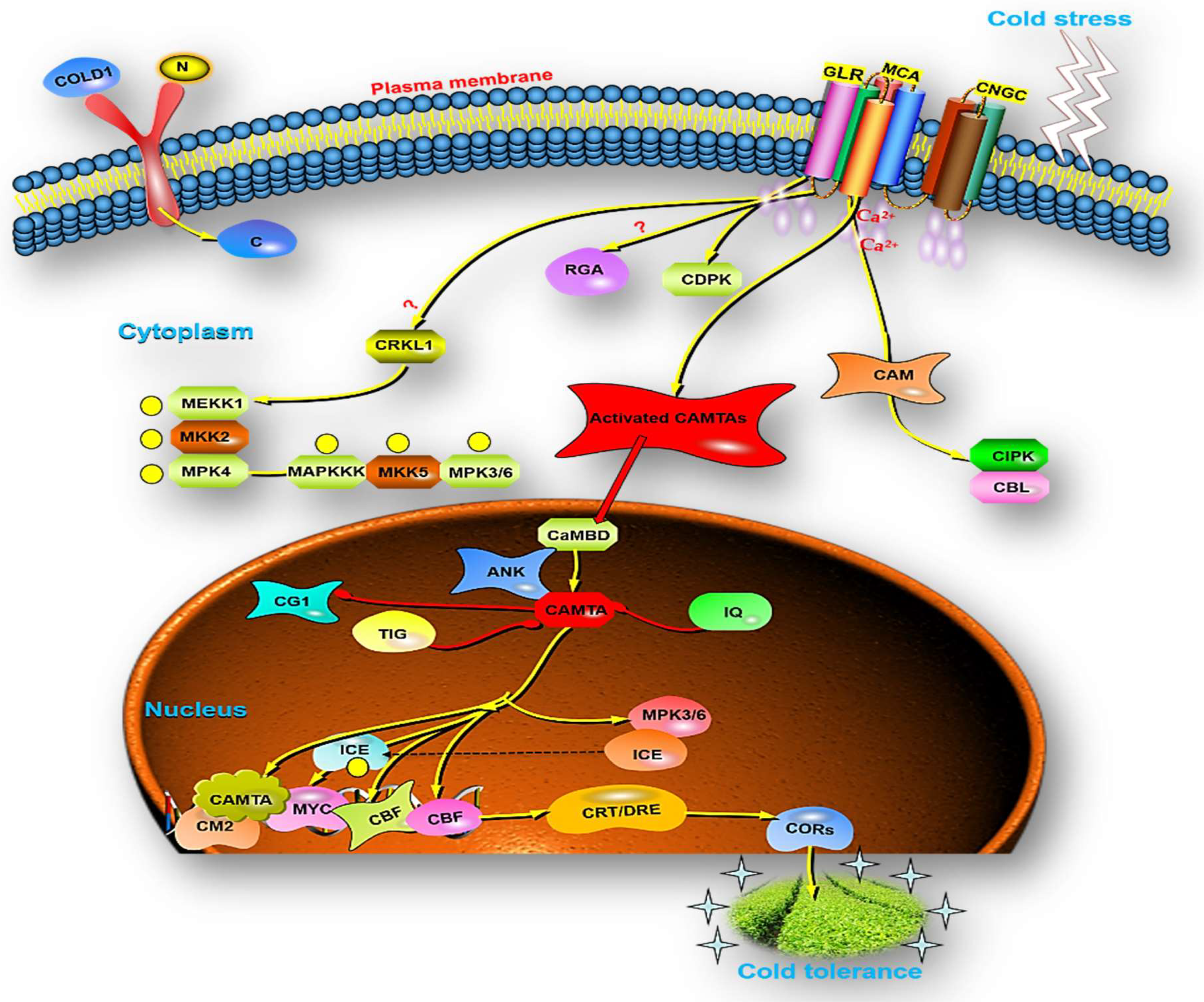 Bioengineering 09 00759 g004