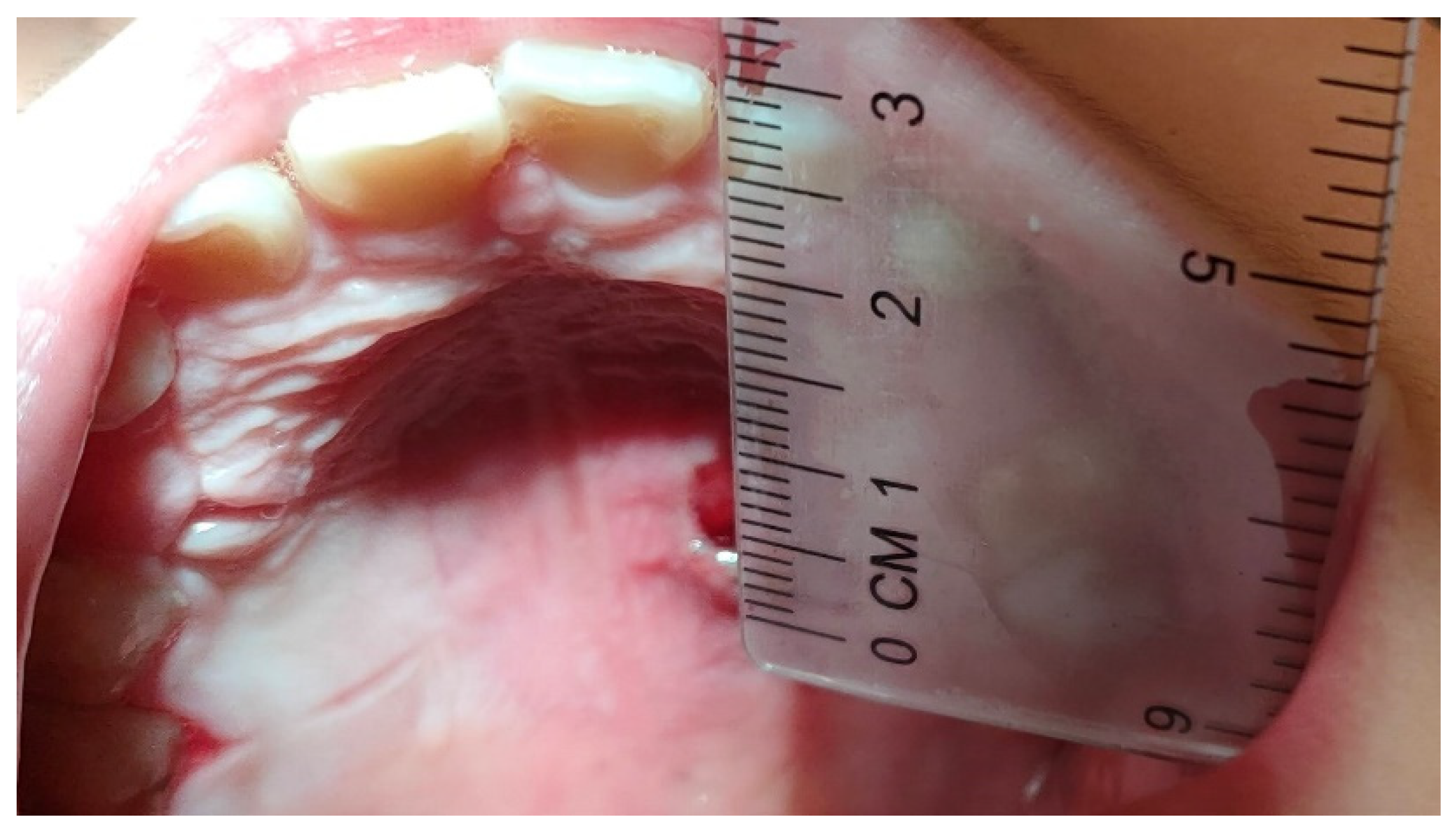 Bioengineering 09 00761 g002