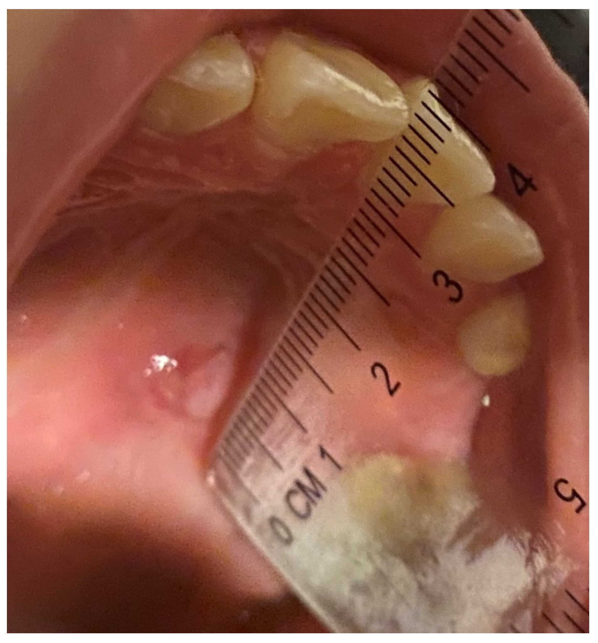 Bioengineering 09 00761 g003