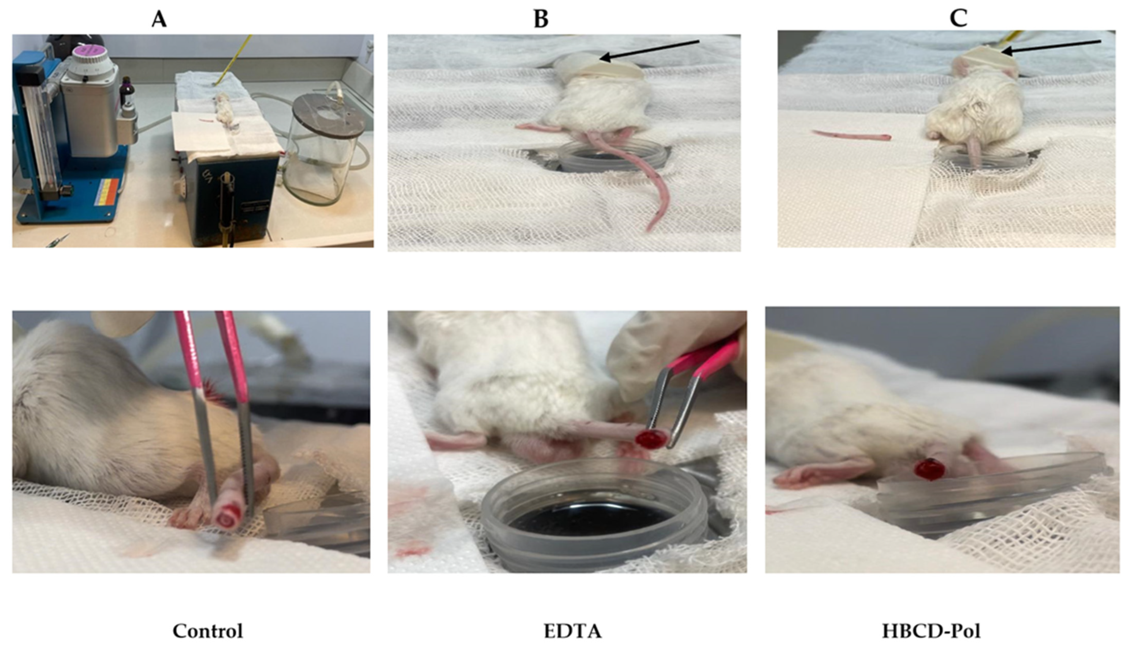 Bioengineering 09 00765 g008 Bioengineering 09 00765 g008