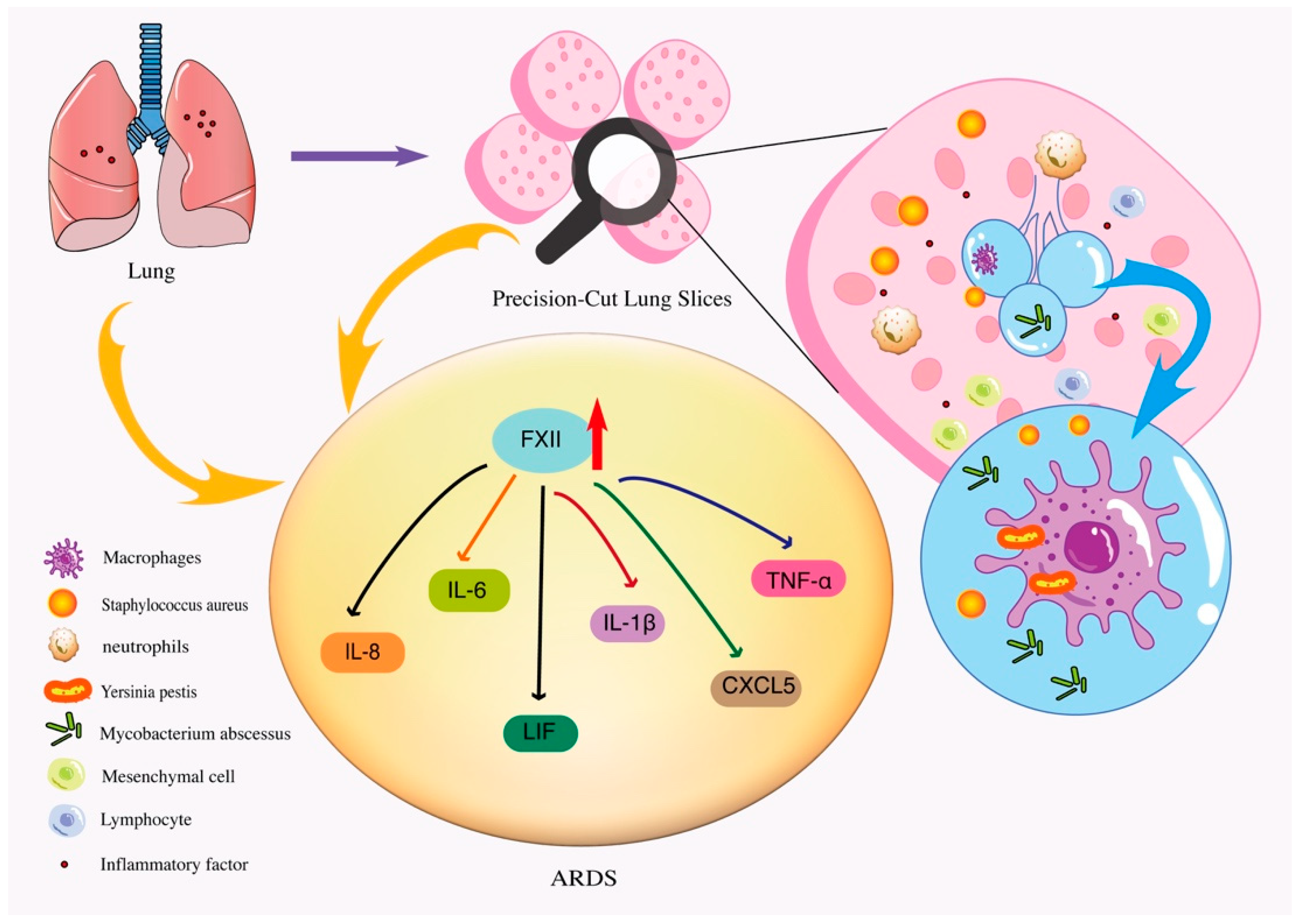 Bioengineering 09 00767 g003