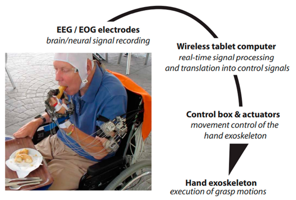 Bioengineering 09 00768 g007 Bioengineering 09 00768 g007